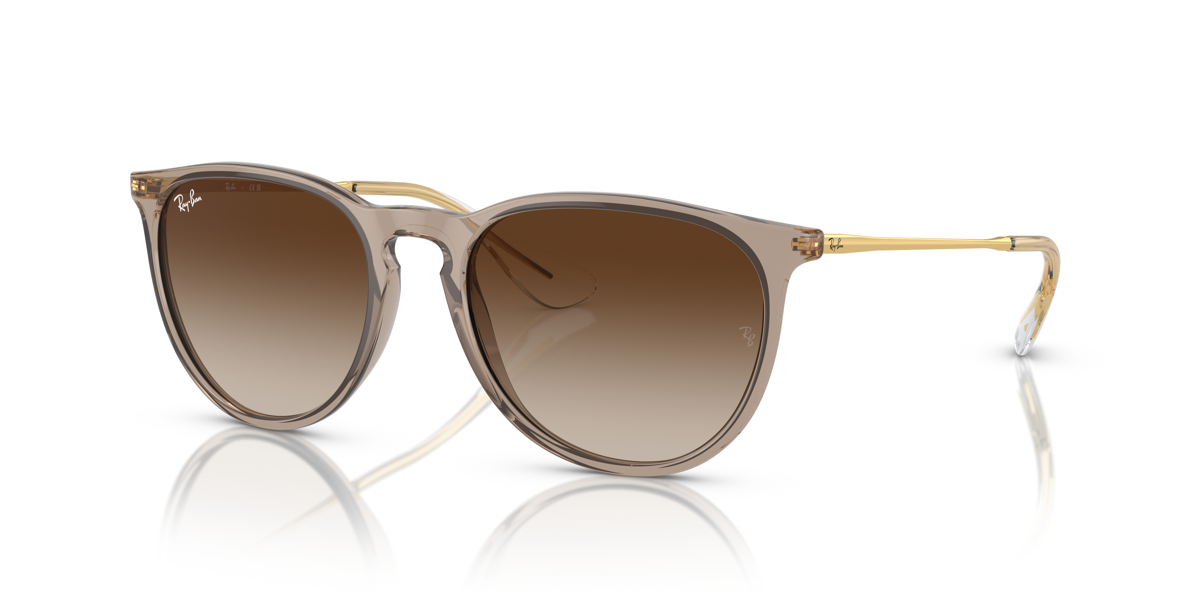 RB4171 Erika Classic - 1