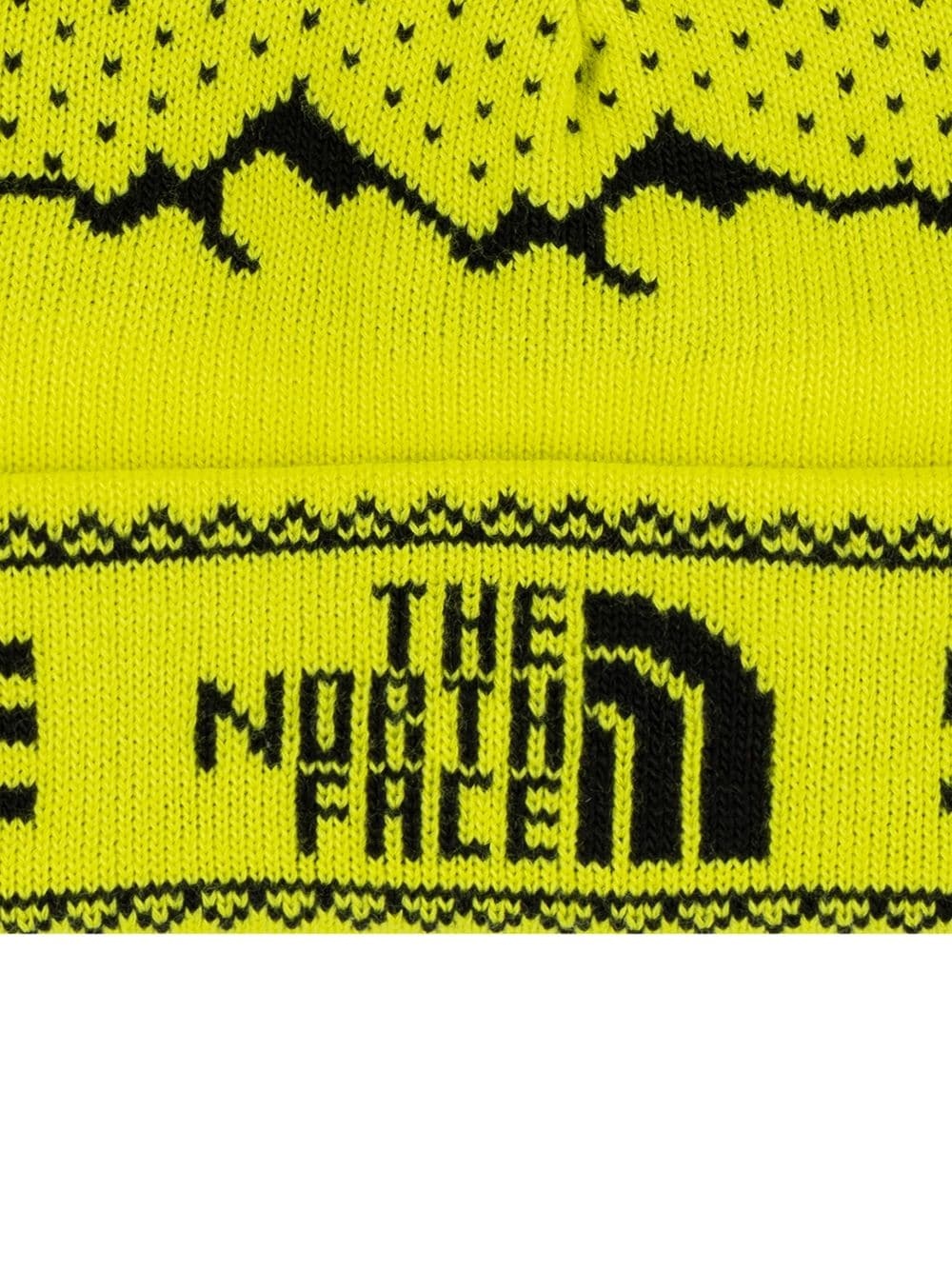 TNF fold beanie - 2