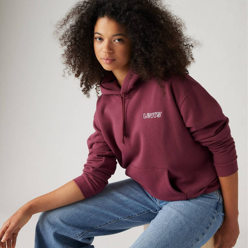 Levi's GRAPHIC EVERYDAY HOODIE SWEATSHIRT outlook