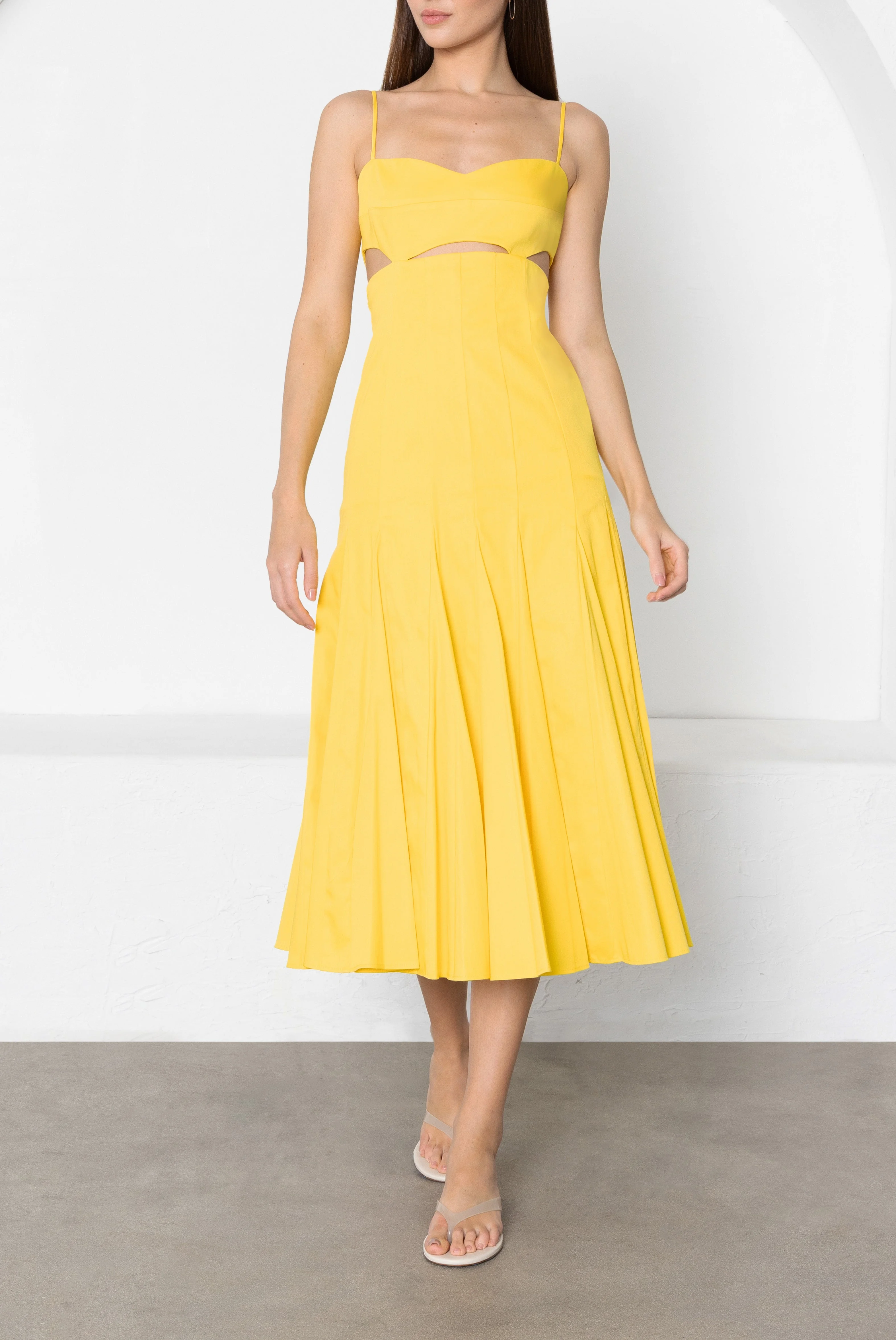 Erica Midi dress - 1