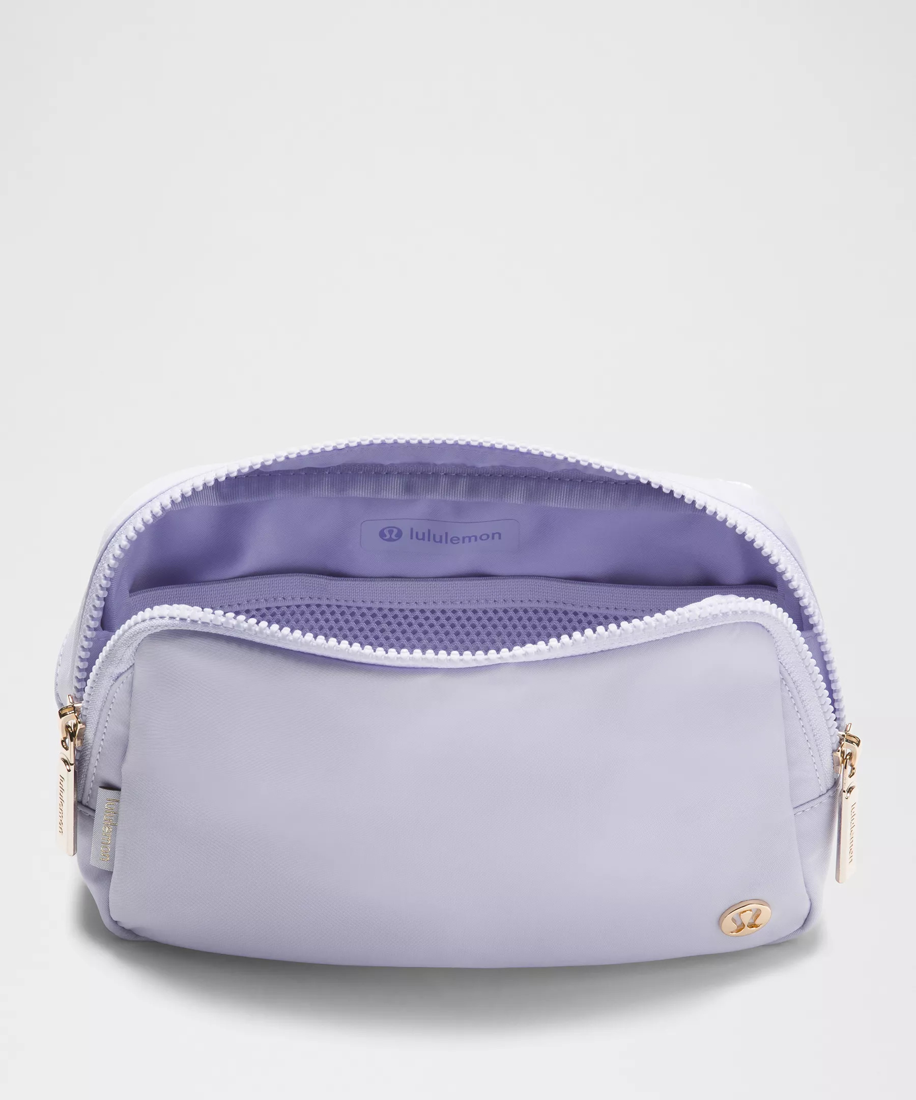 Everywhere Belt Bag Large with Long Strap 2L - 4
