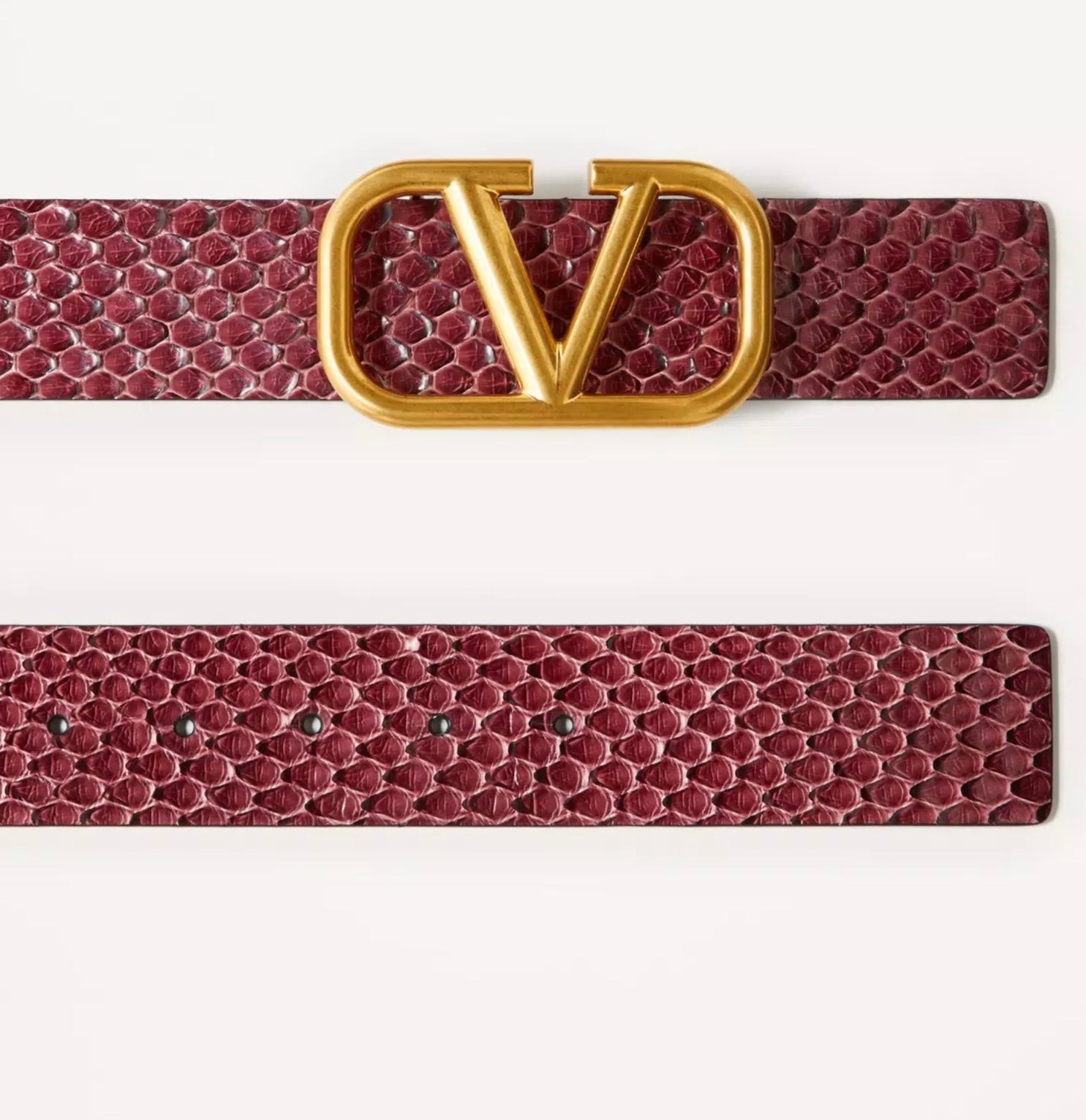 Valentino Vlogo Signature Python Belt 40mm - 3