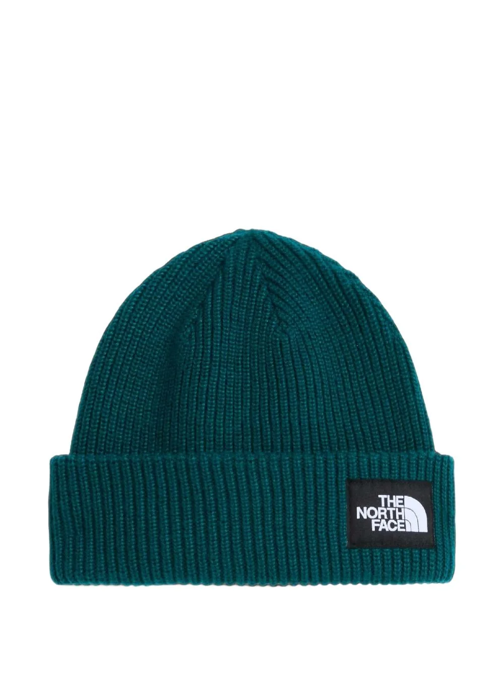Salty lined beanie - 1
