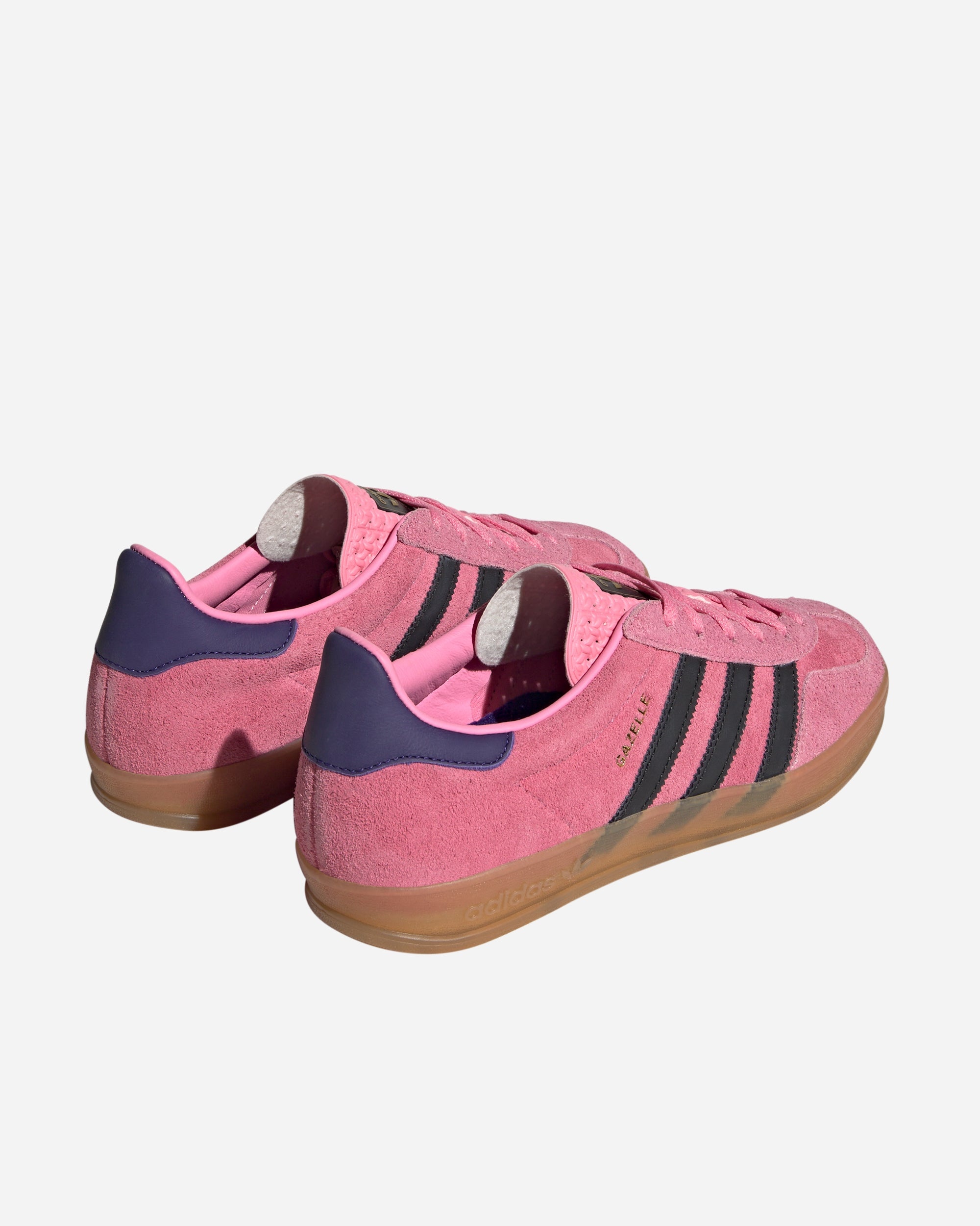 Gazelle Indoor - 3