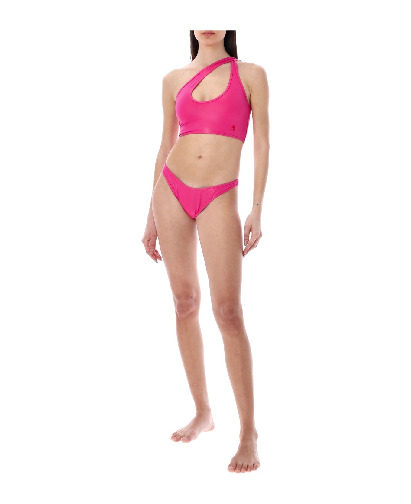 Shiny Bikini - 4