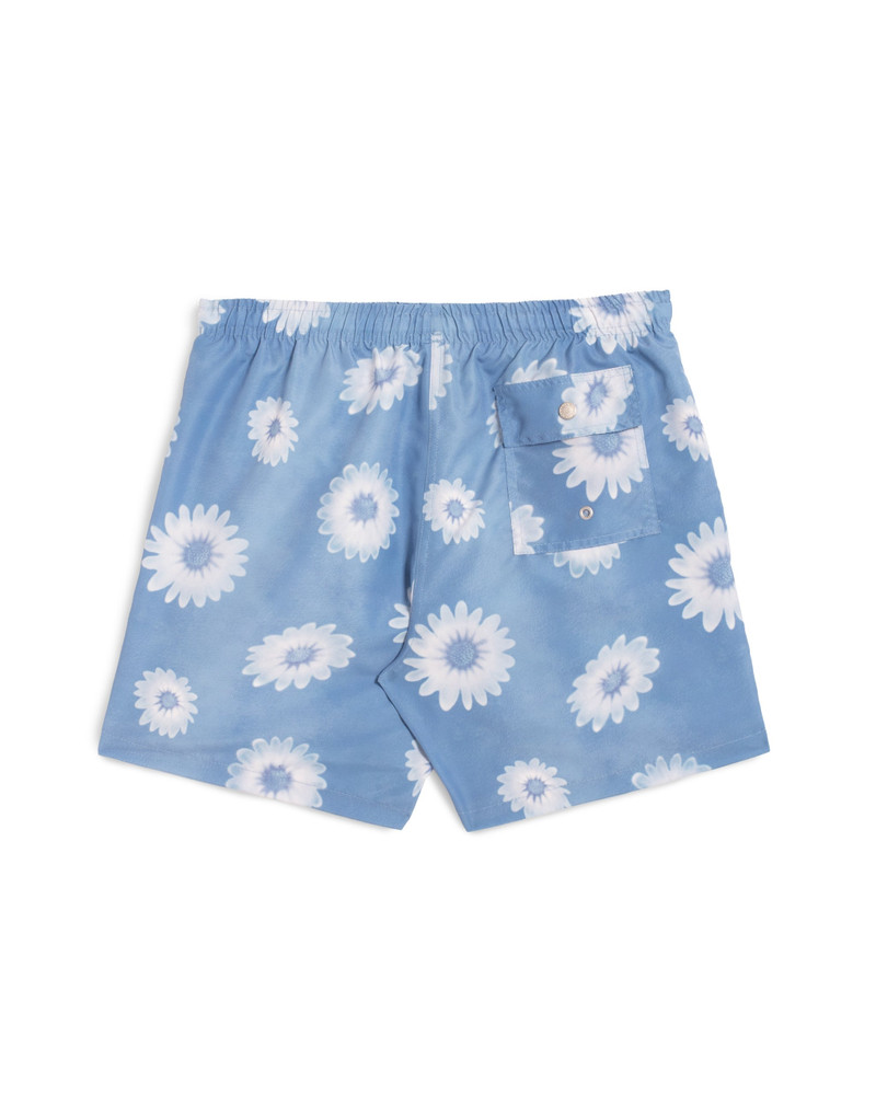 Ice Air Garden Swim Trunk 3