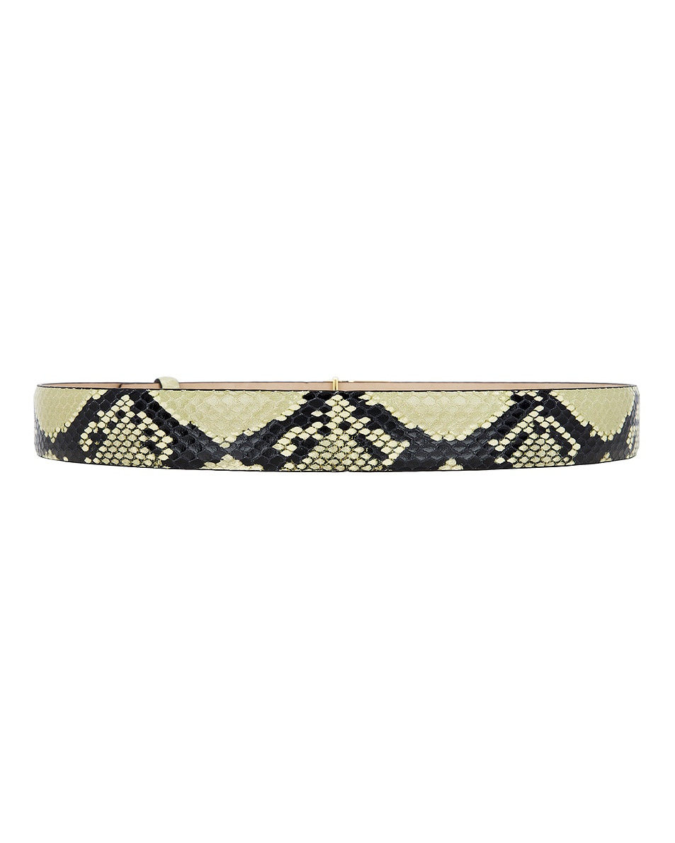 Saddle 30mm Belt - 2