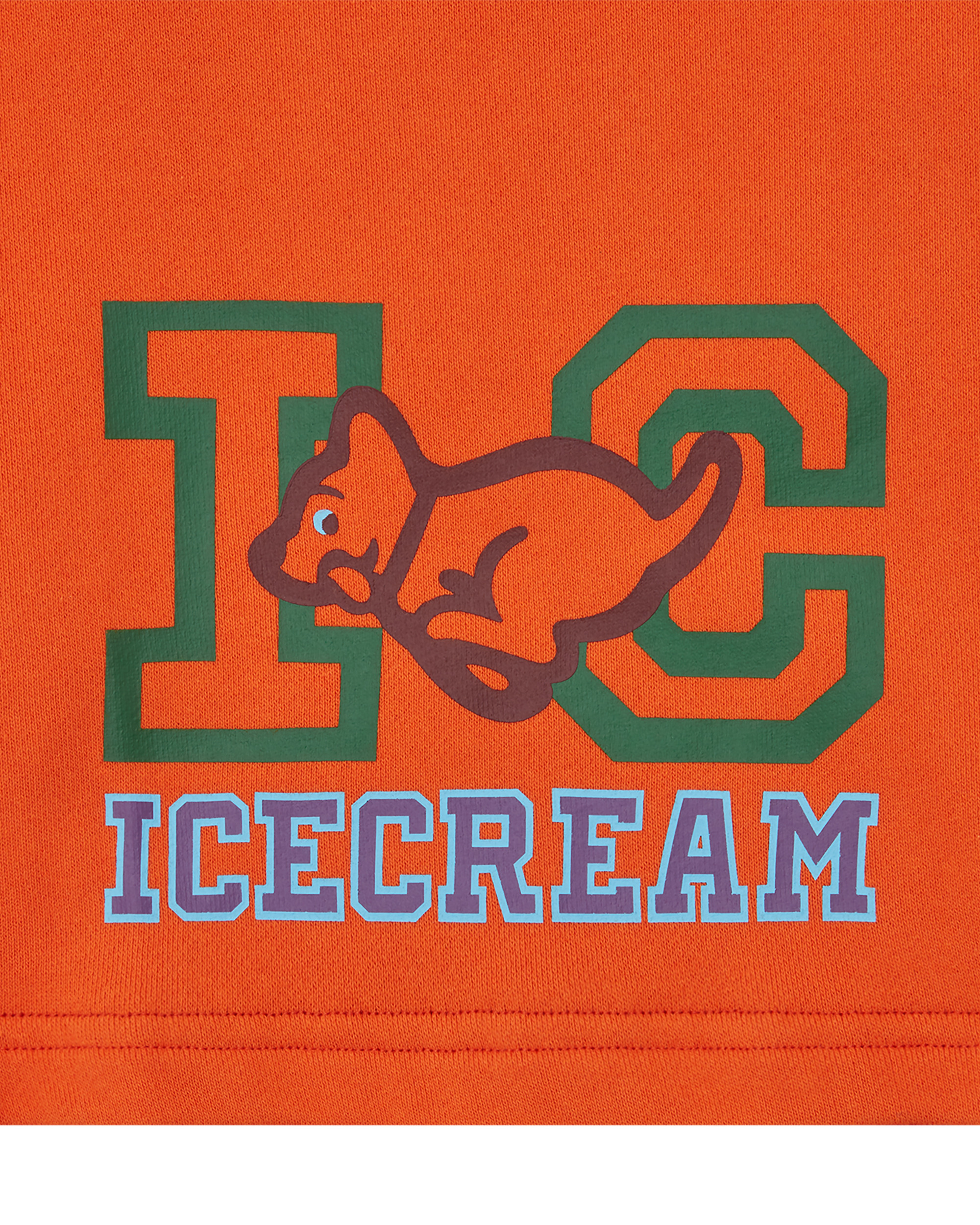COLLEGIATE PUPPY SHORTS - 3