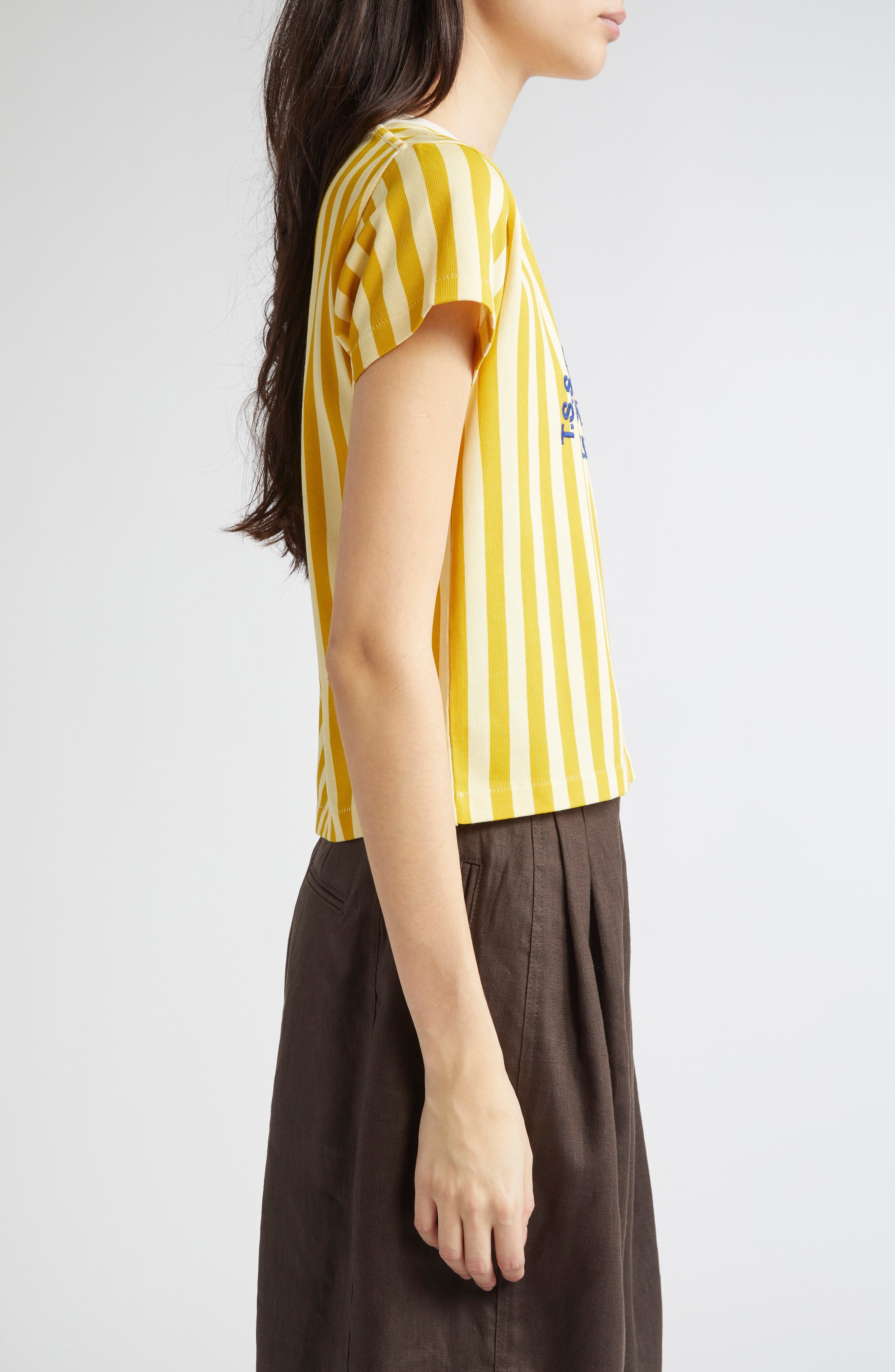 Bode Medalist Embroidered Stripe T-Shirt in Yellow Multi at Nordstrom - 4