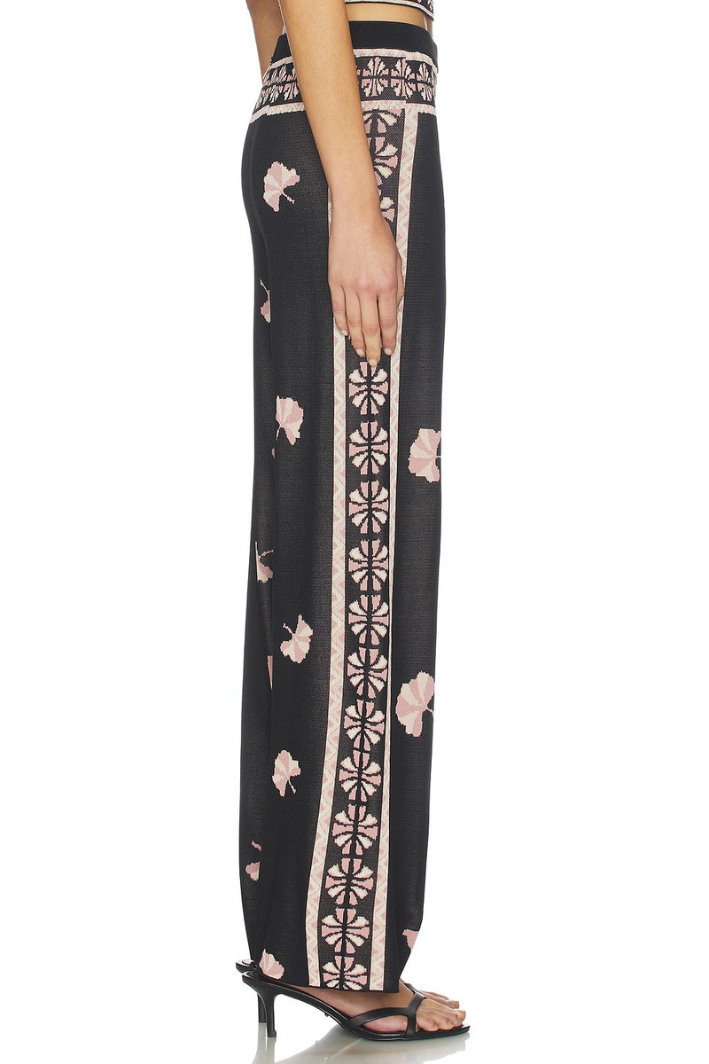 MISA Nuela Pant outlook