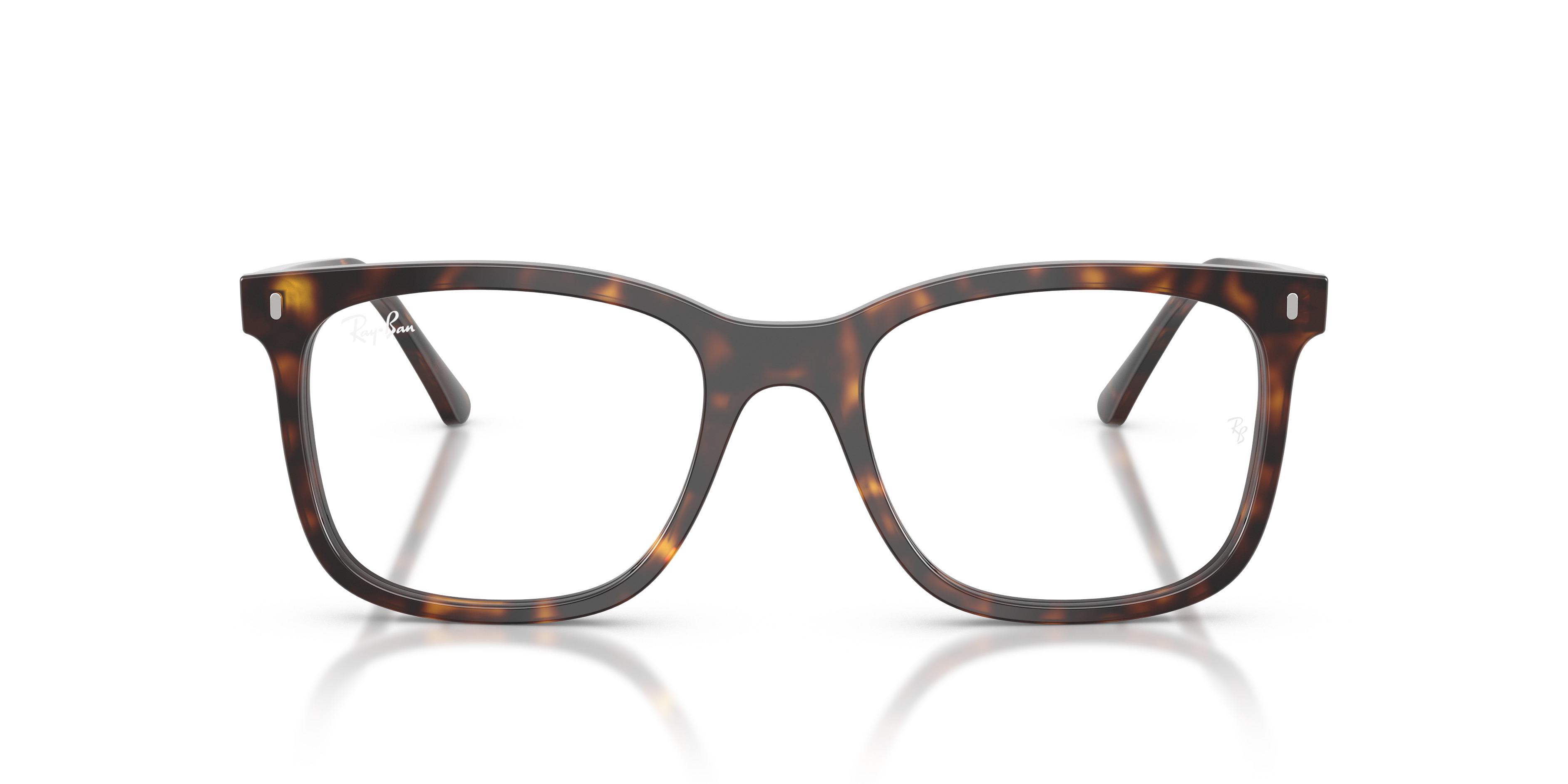 RB5446 OPTICS - 4