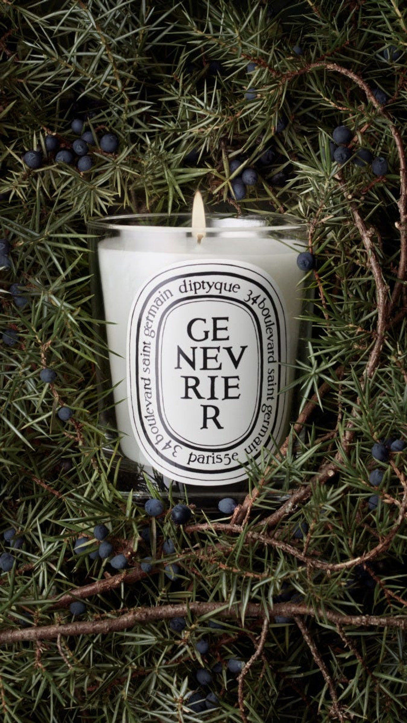 Genévrier (Juniper) - Classic Candle 5