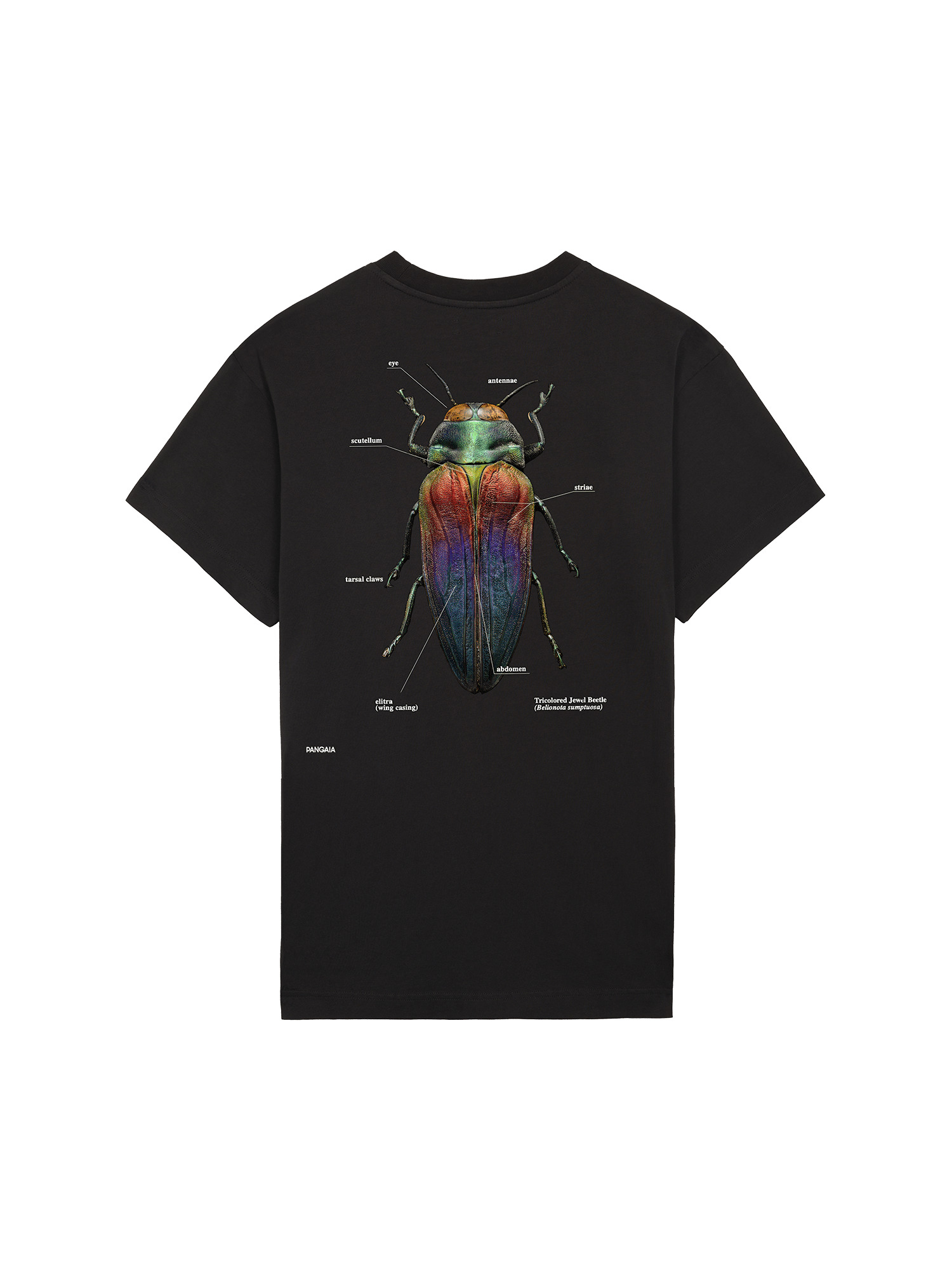 PANGAIA X Levon Biss Tricolored Jewel Beetle T-shirt - Black - 2