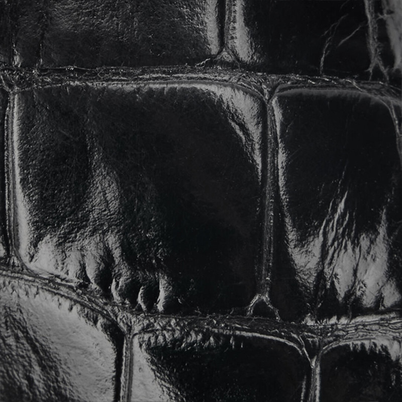 Crocodile Scale-Effect Pumps 4