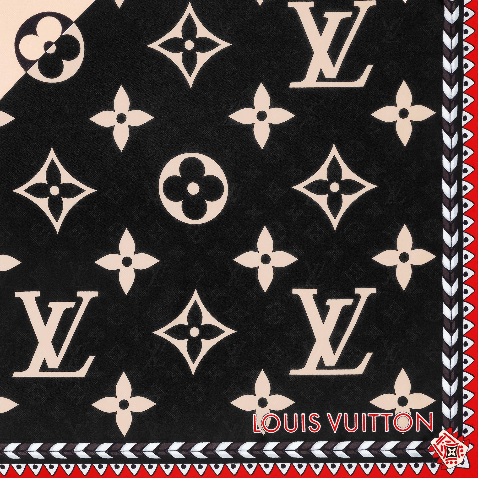 LV Crafty Bi Color Shawl - 5