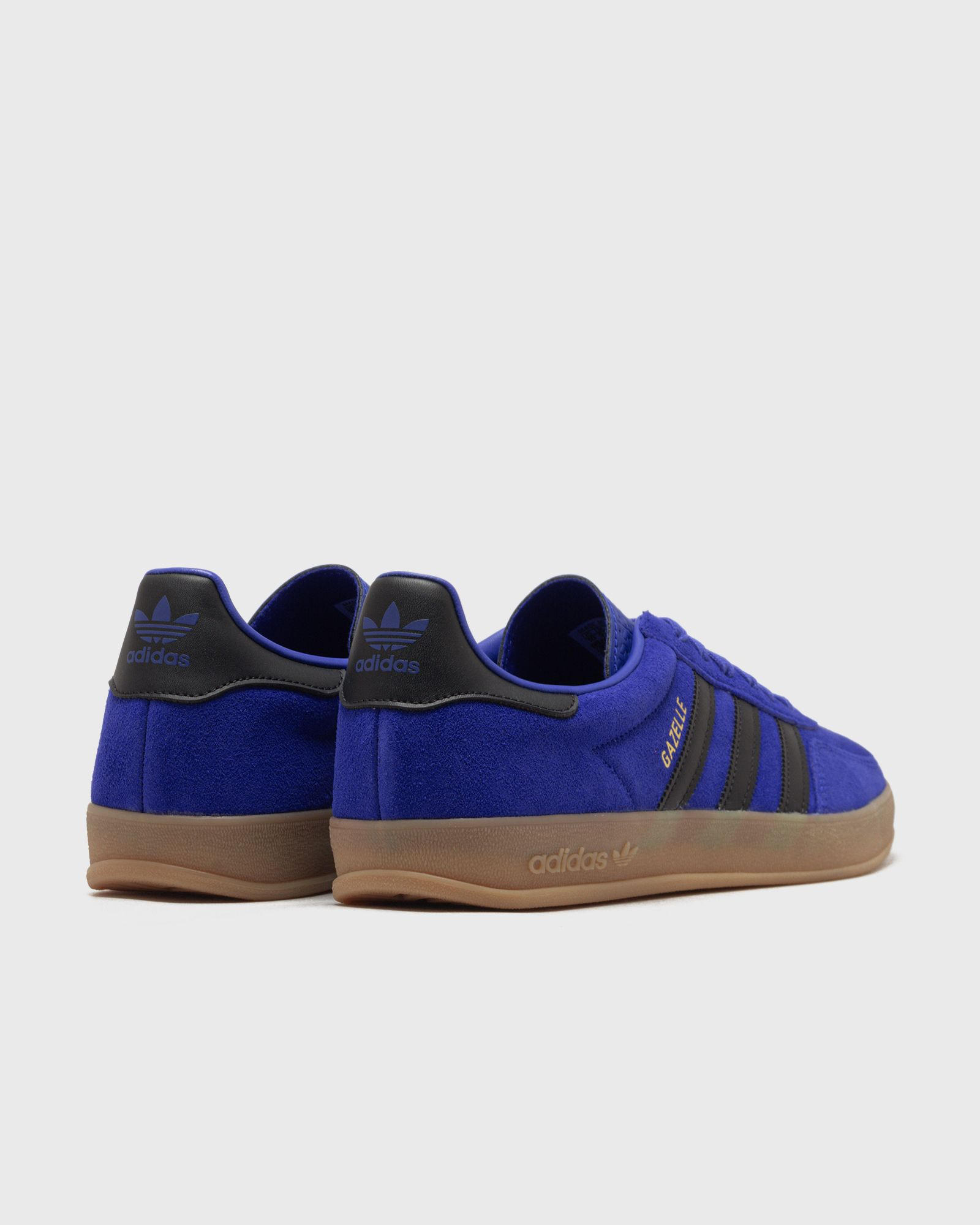 GAZELLE INDOOR - 4
