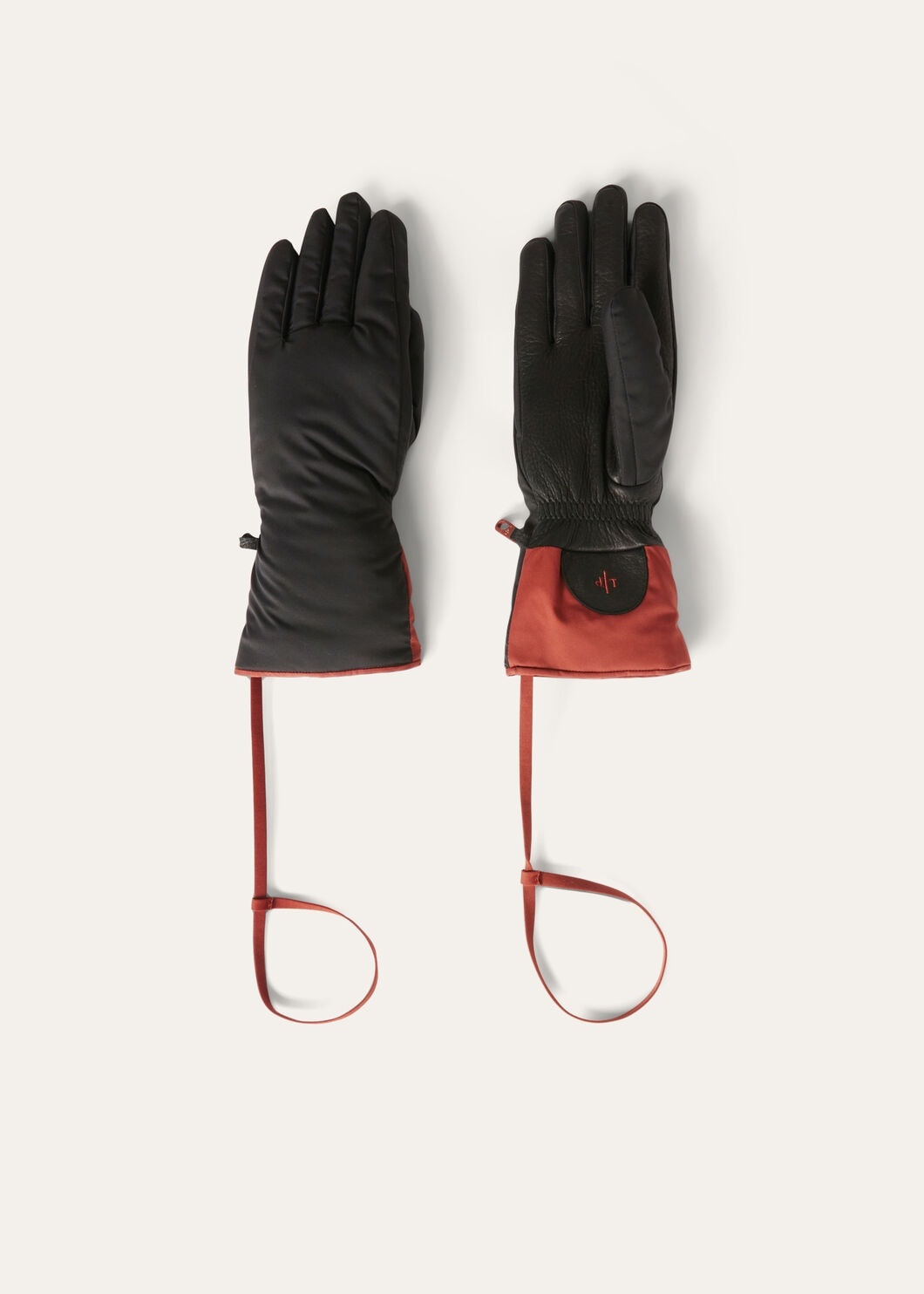 Ski Glove - 2