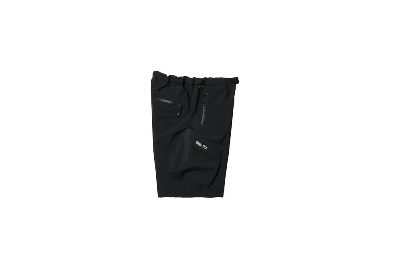 GORE-TEX R-TEK CARGO SHORT BLACK 4