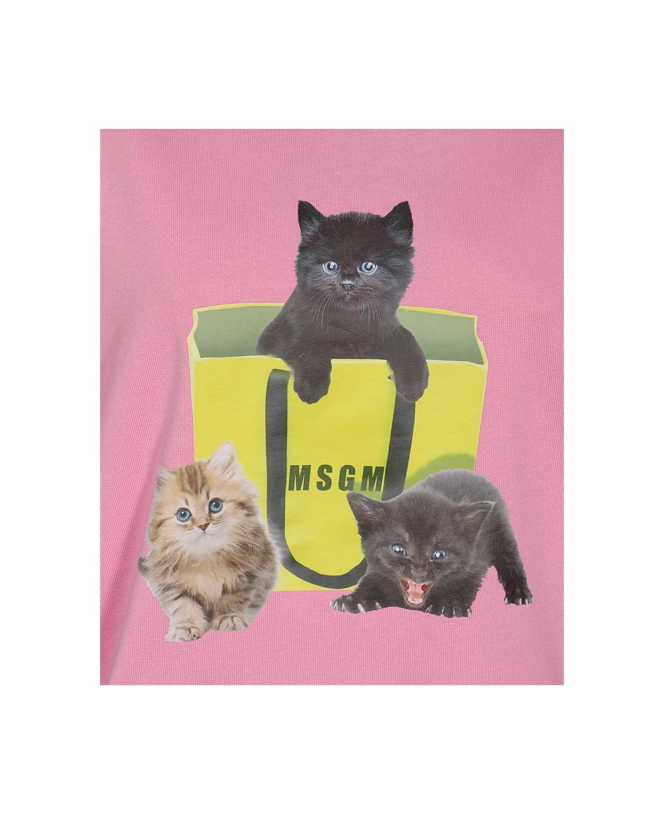 Cotton Hoodie - 3