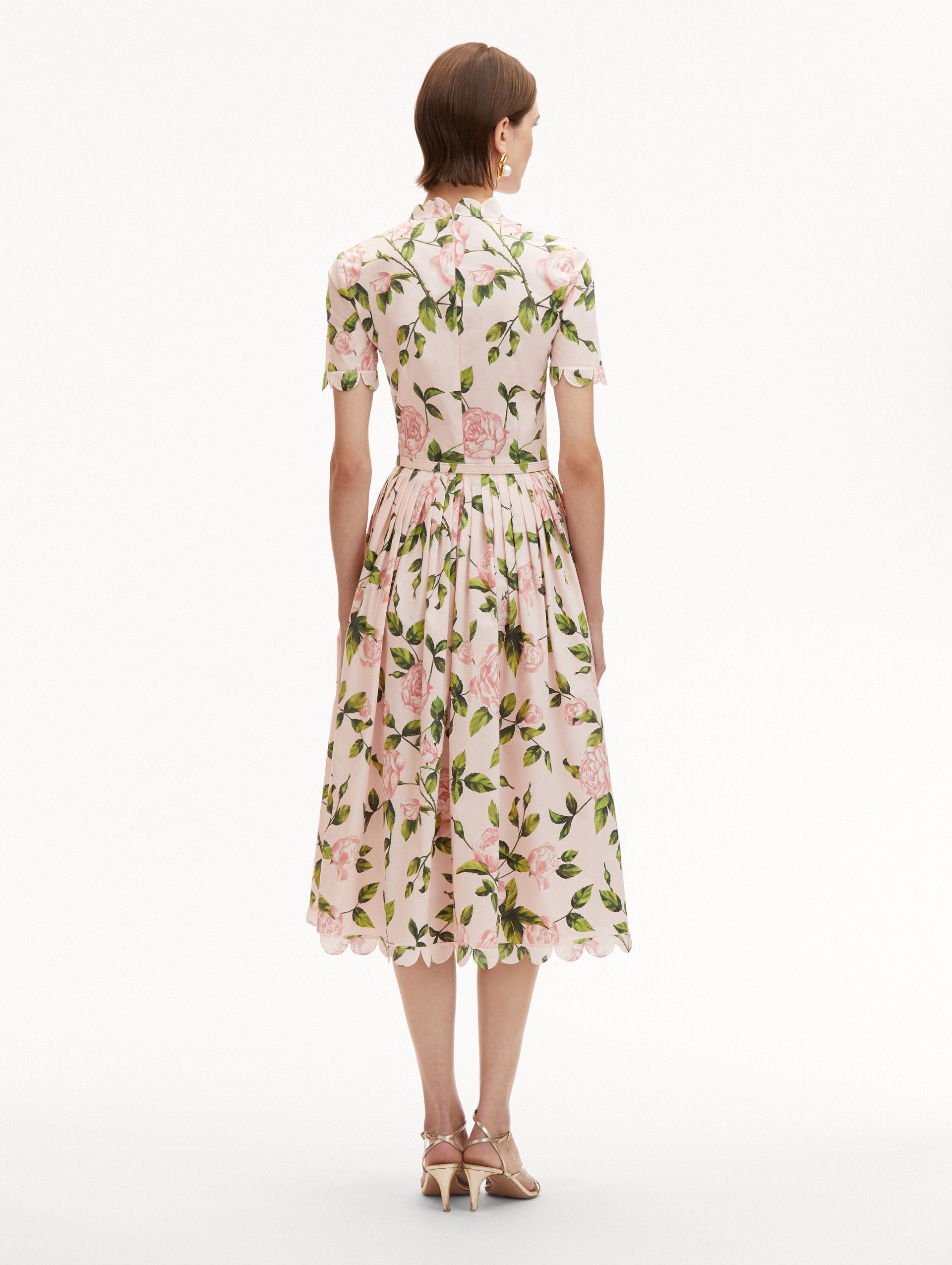 ENGLISH ROSE COTTON POPLIN DRESS - 3