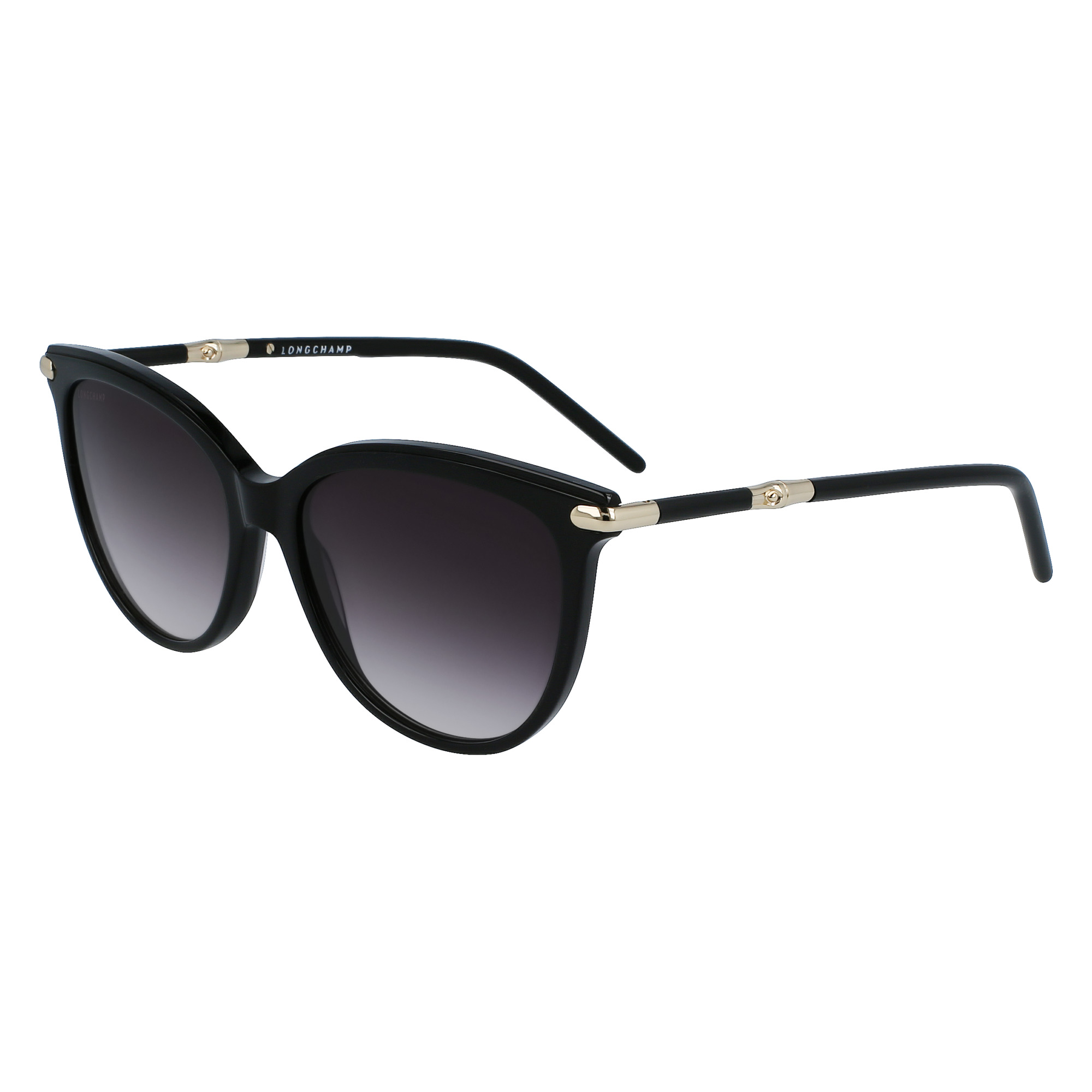 Fall-Winter 2023 Collection Sunglasses Black - OTHER - 2