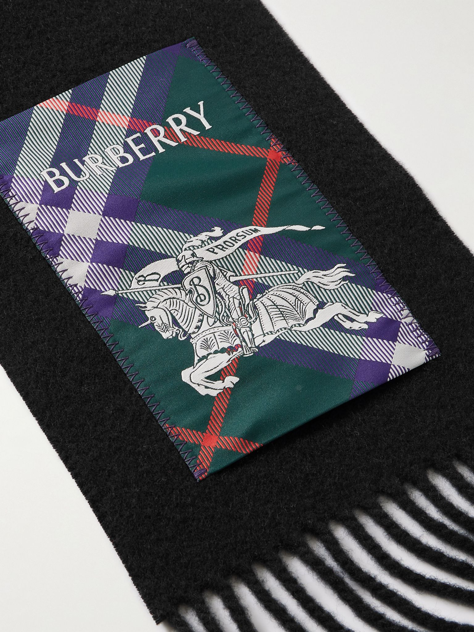 Fringed Appliquéd Cashmere Scarf Black - 3