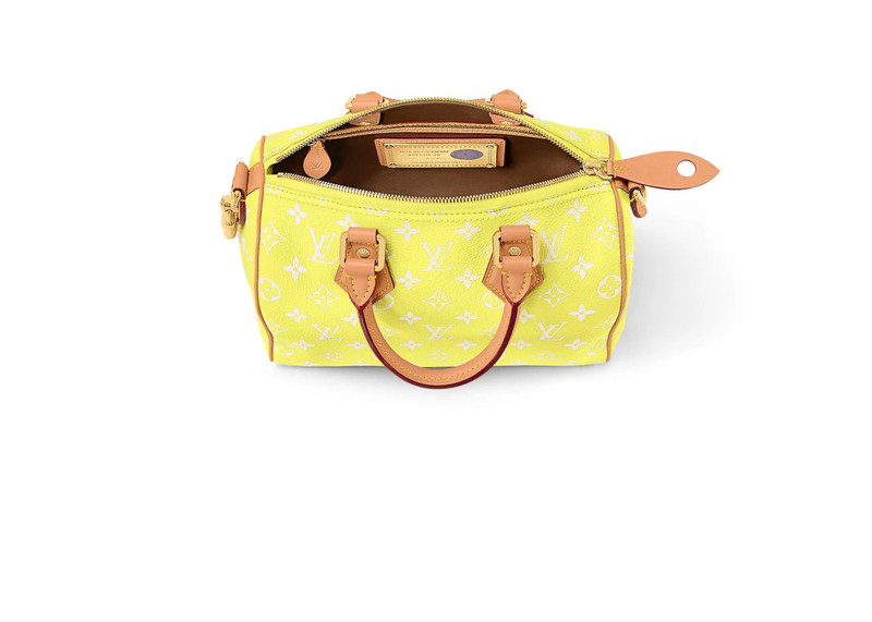 Louis Vuitton Louis Vuitton Speedy P9 Bandouliere 25 Lemonade Yellow outlook