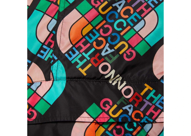 GUCCI Gucci x The North Face Nylon Coat Multicolor/Black outlook