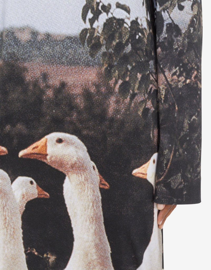 INTERLOCK DRESS GOOSE PRINT 3