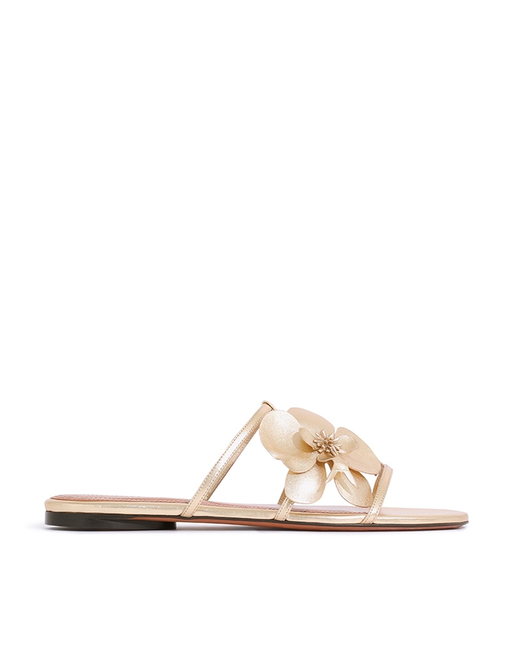 ORCHID SLIDE - 1
