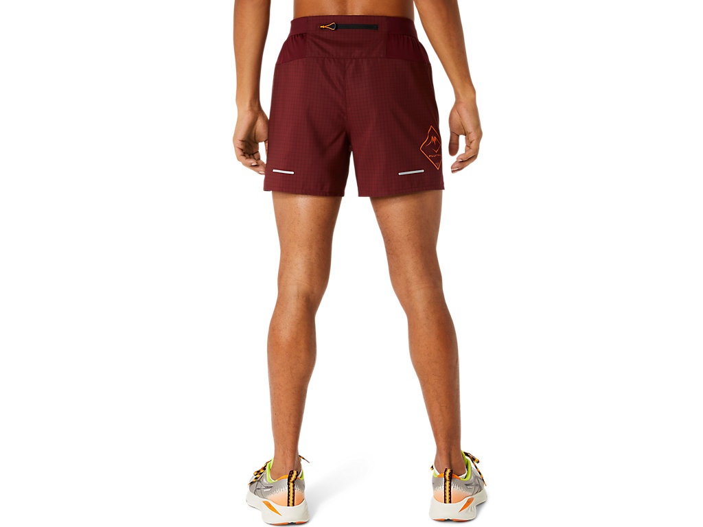 MEN'S FUJITRAIL LOGO SHORT - 2