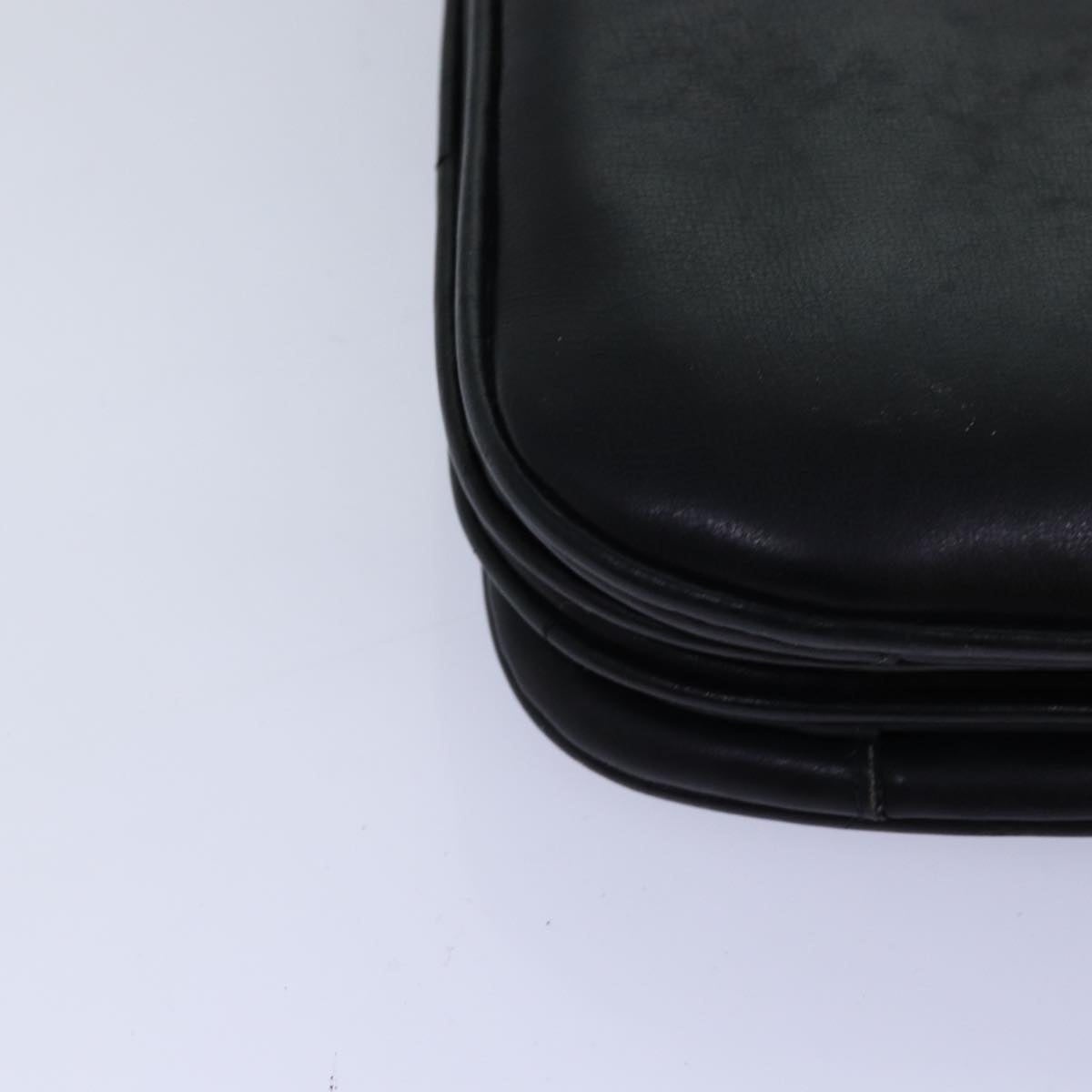 CELINE Horse Carriage Shoulder Bag Leather Black - 16