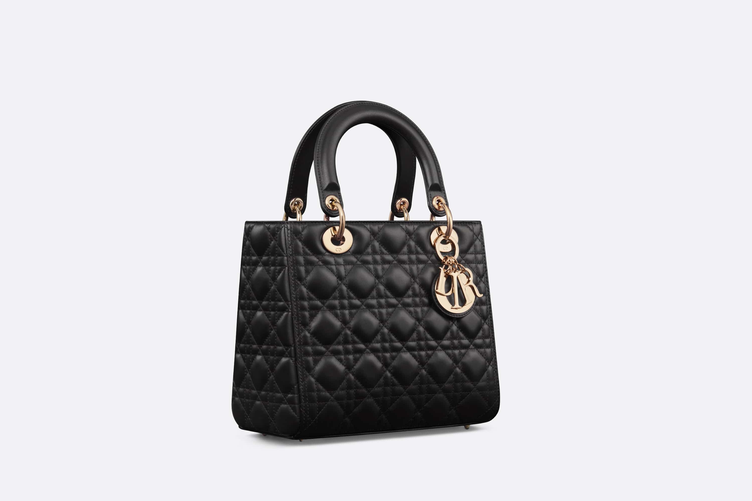 Medium Lady Dior Bag - 3