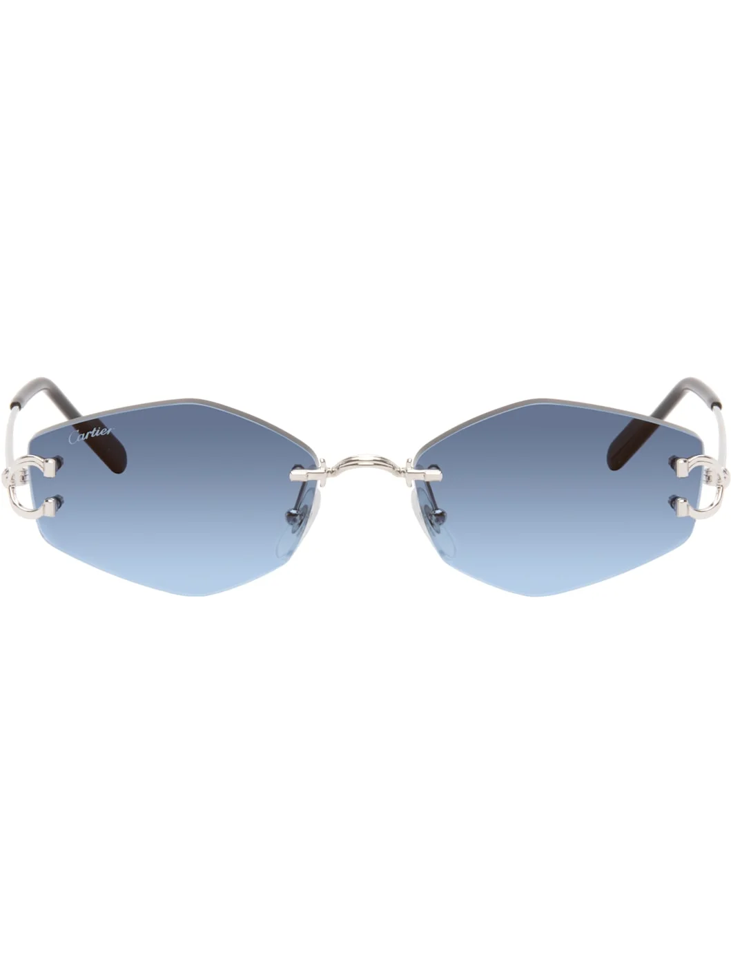 Silver Classic C Motif Sunglasses - 1