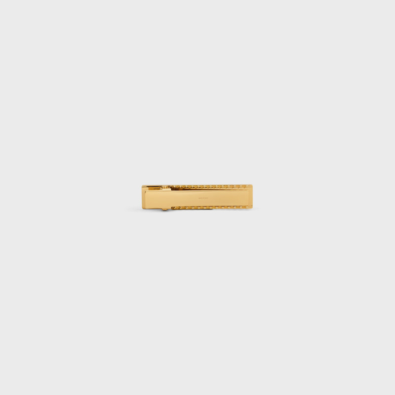 Celine Sulky Hair Clip in Brass with Gold Finish and Steel 3