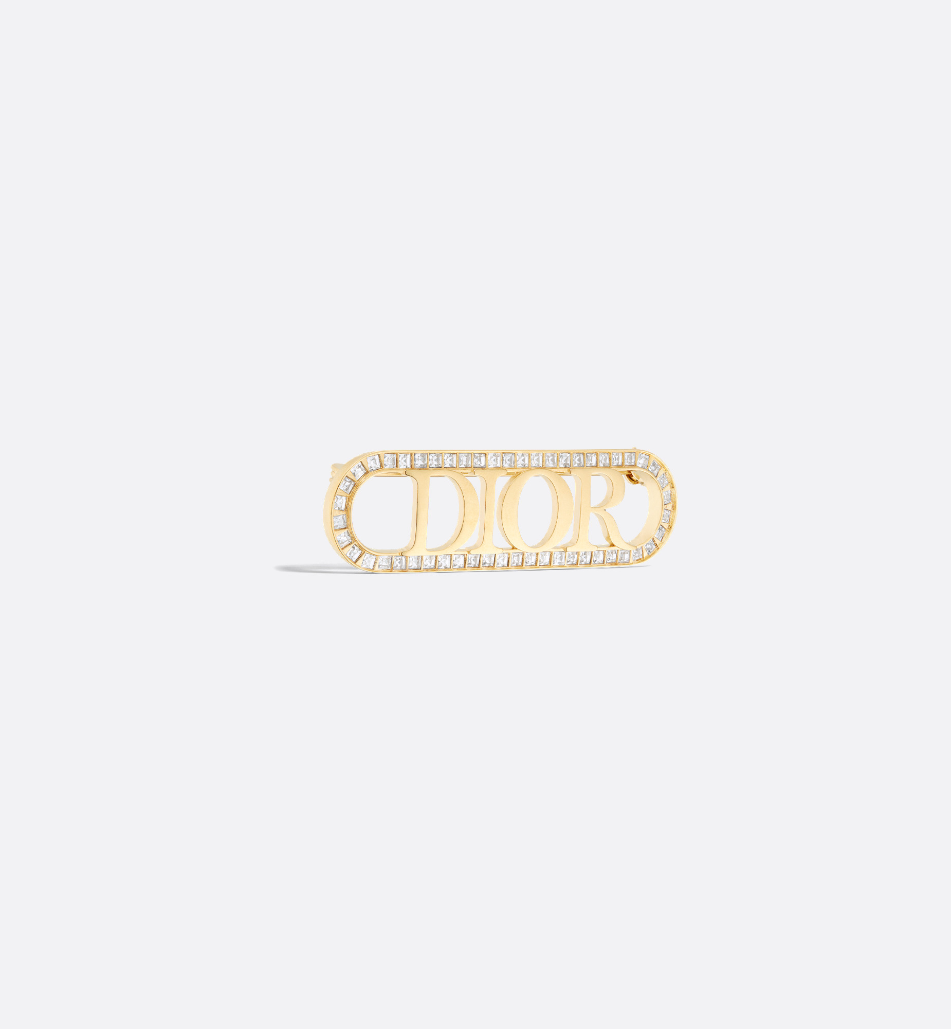Dio(r)evolution Brooch 4