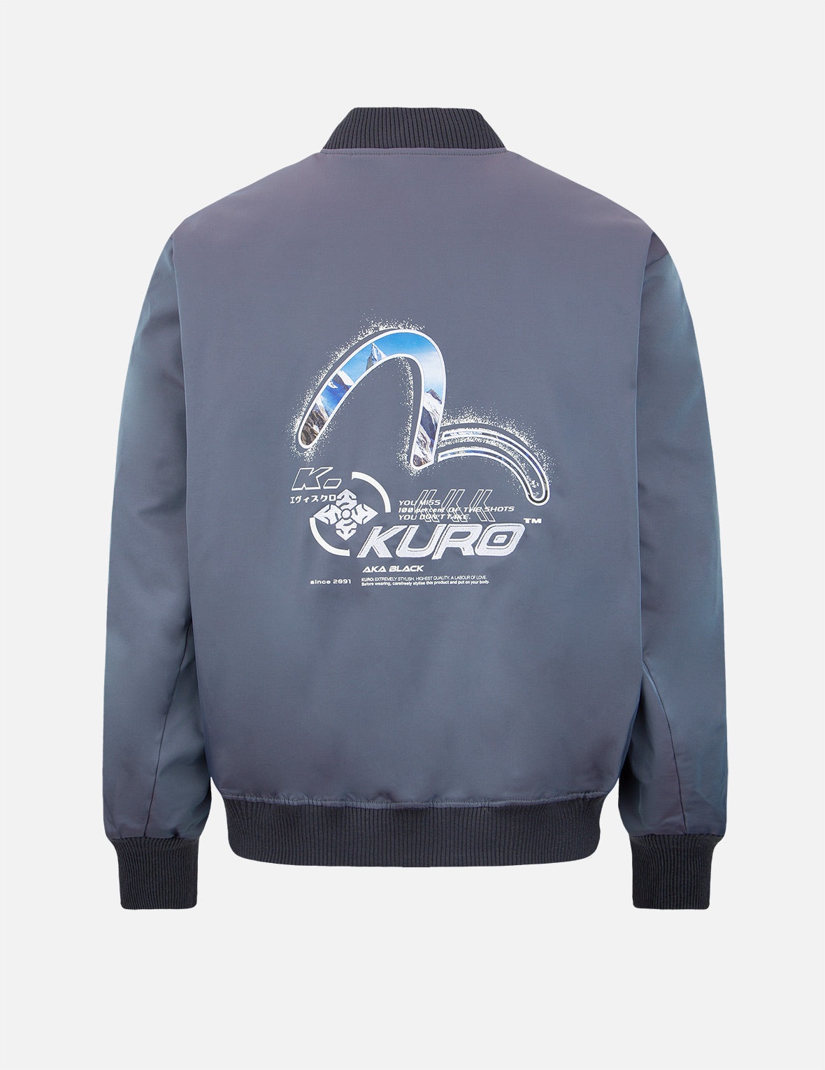 Spray Paint Effect Seagull Print Bomber Jacket - 2