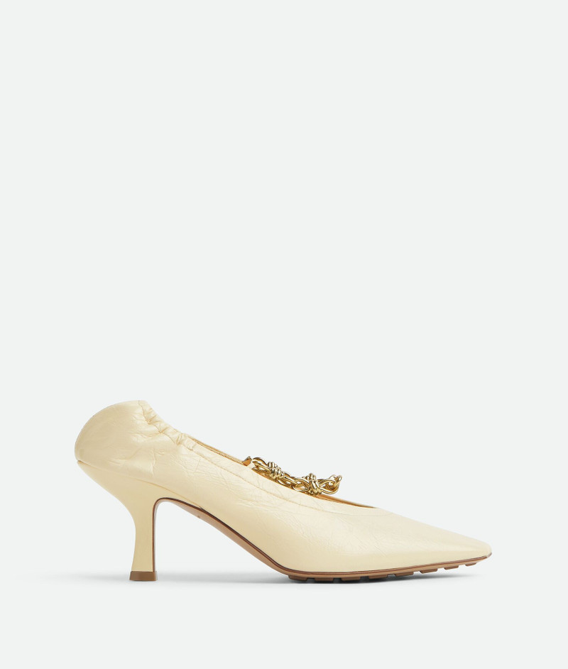 Sharp Chain Pump 1