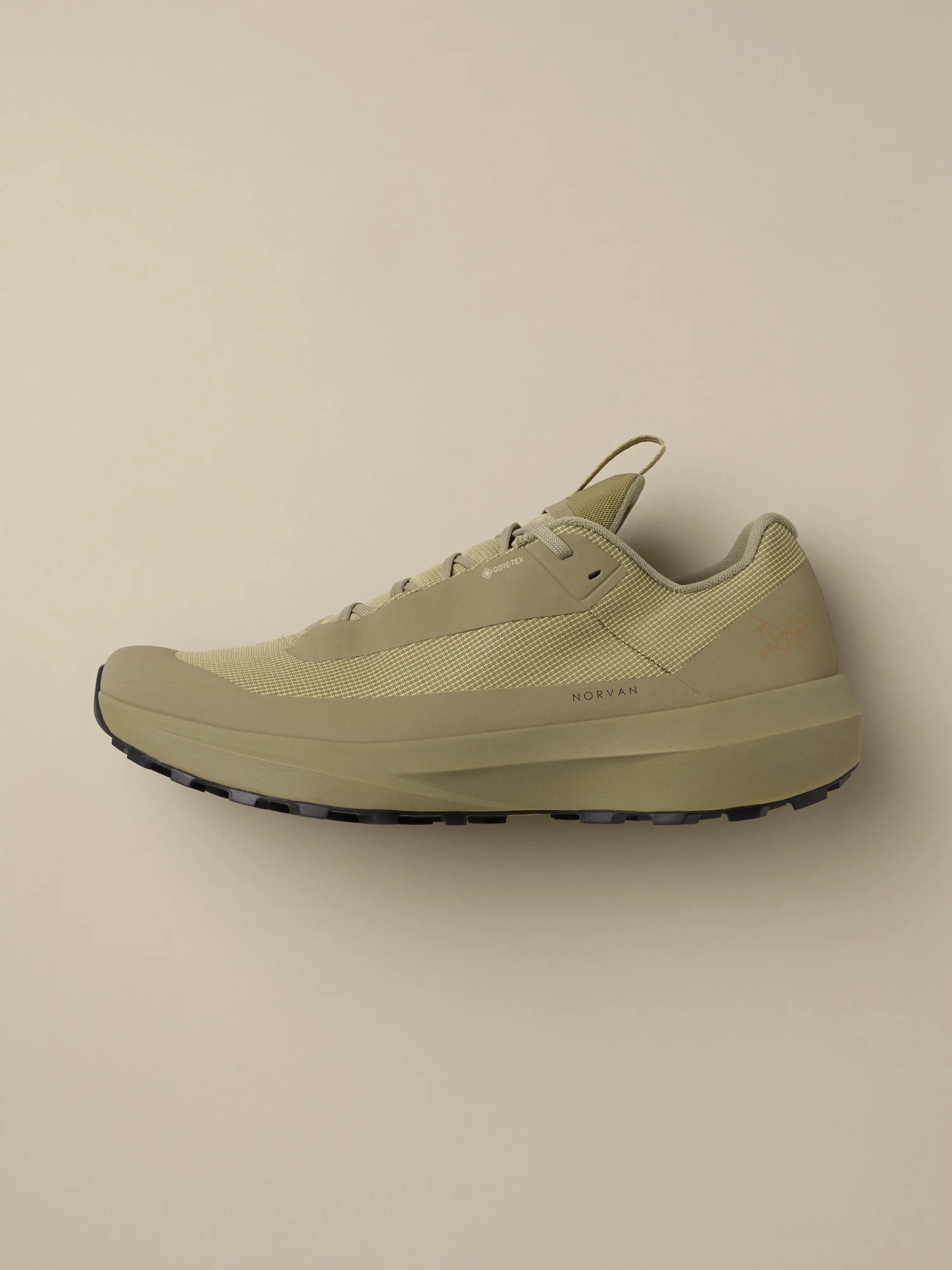 Norvan LD 4 GTX Shoe - 1