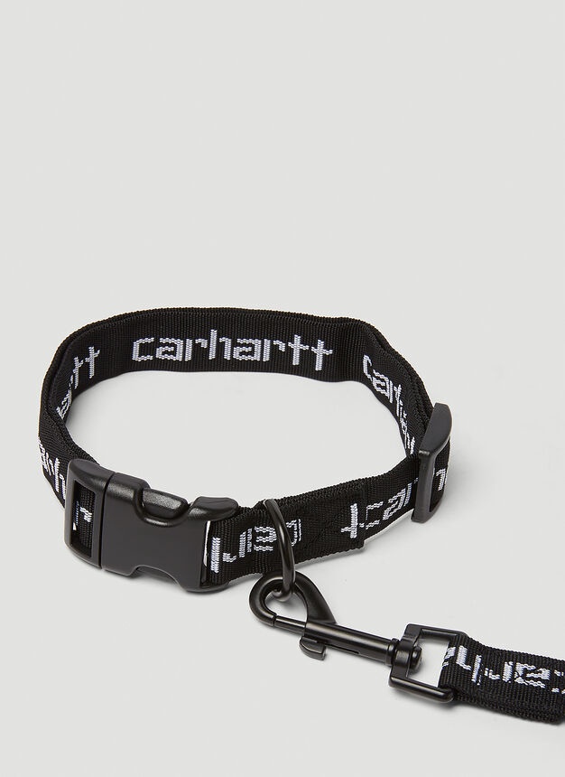 Script Dog Collar Leash in Black - 3