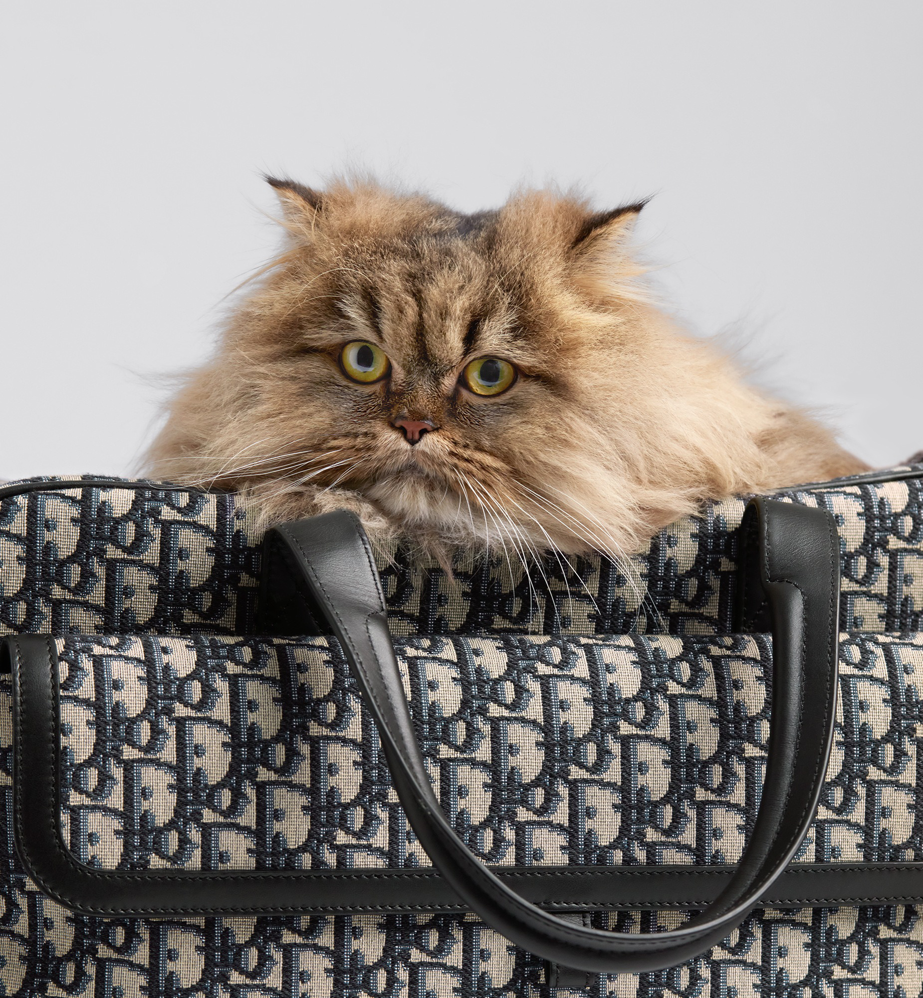 Dior Hit The Road Pet Carrier Bag - 2