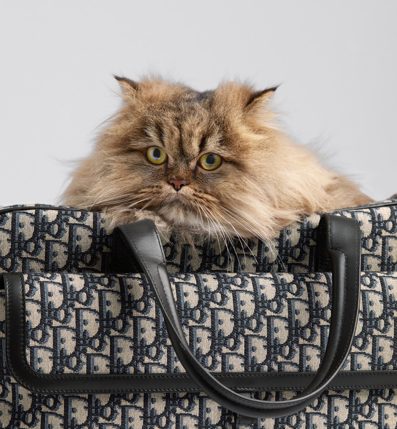 Dior Dior Hit The Road Pet Carrier Bag outlook