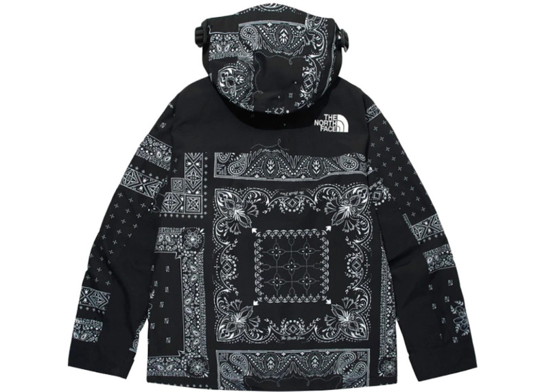 The North Face The North Face Novelty GTX Paisley Mountain Jacket Black outlook
