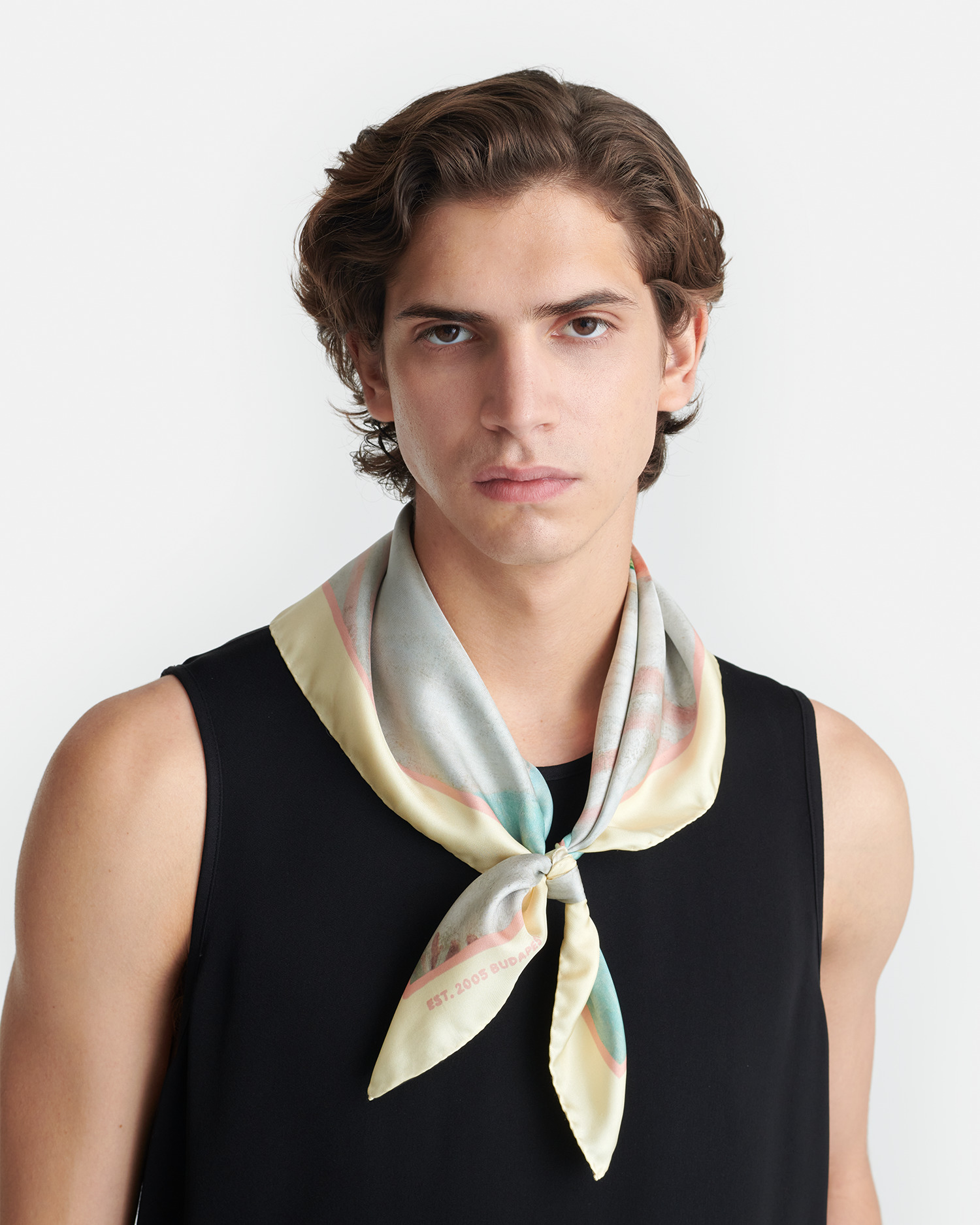 Printed Silk Scarf - 3