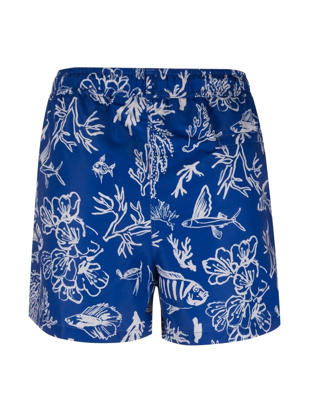 sea-life print swimming shorts - 2