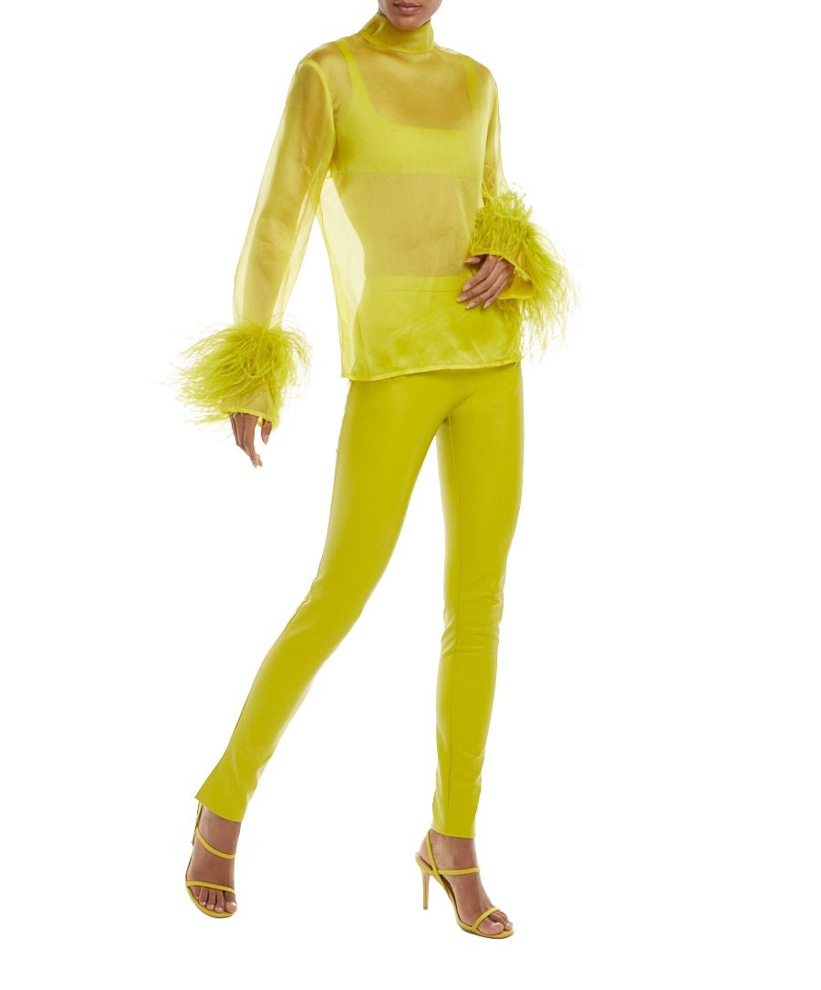 Organza Top With Feathers - 3