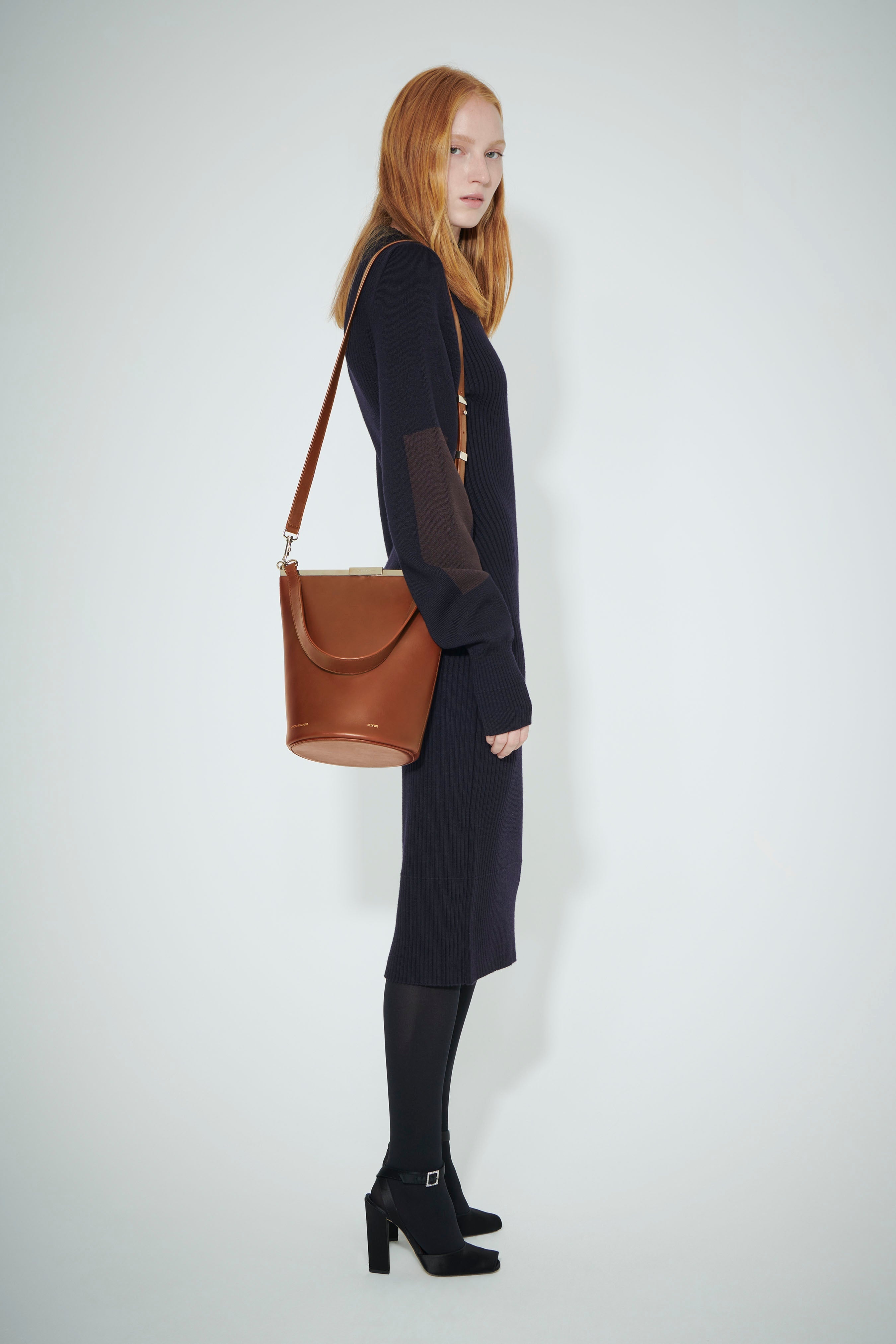 Frame Bucket Bag In Cognac Leather - 6