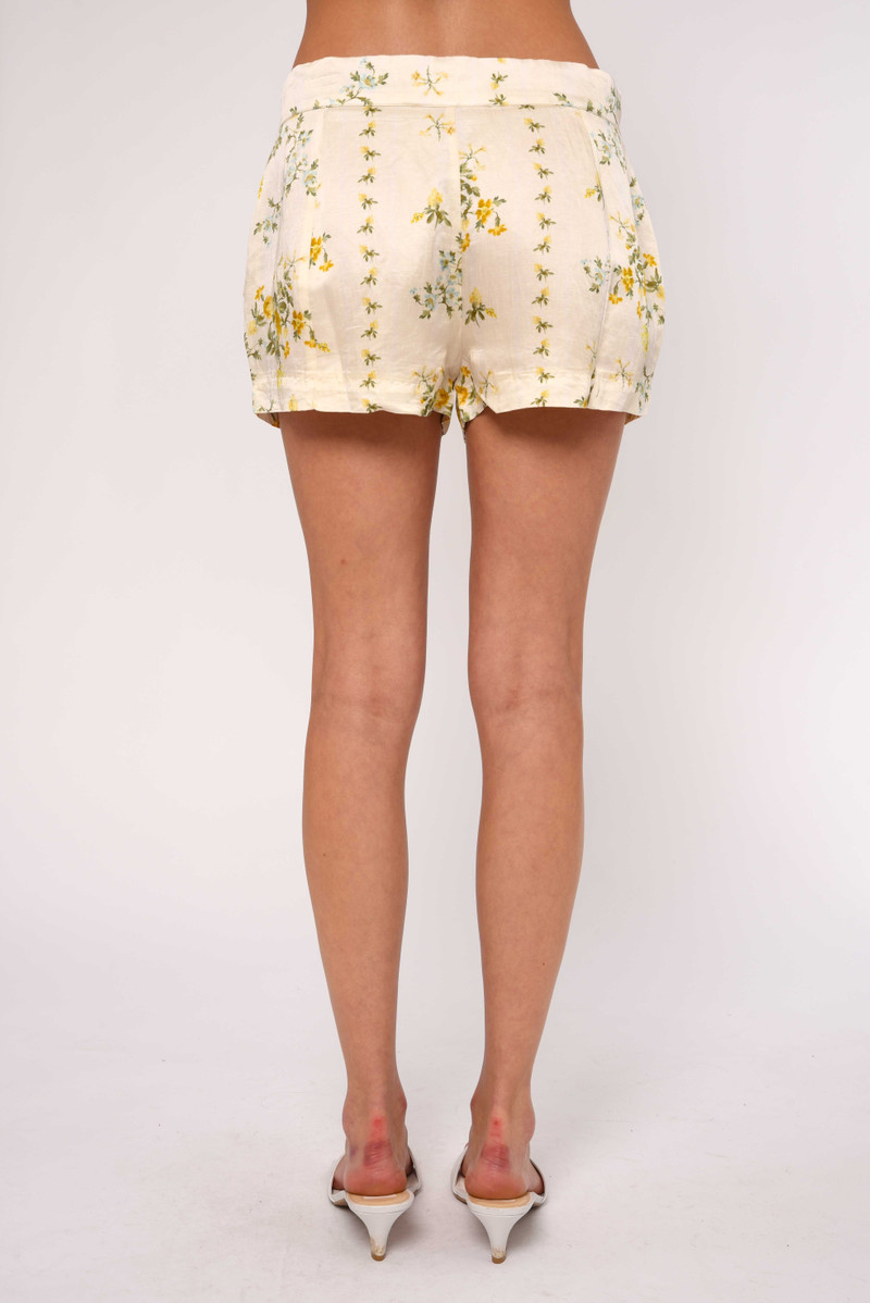 Kaye Shorts 4