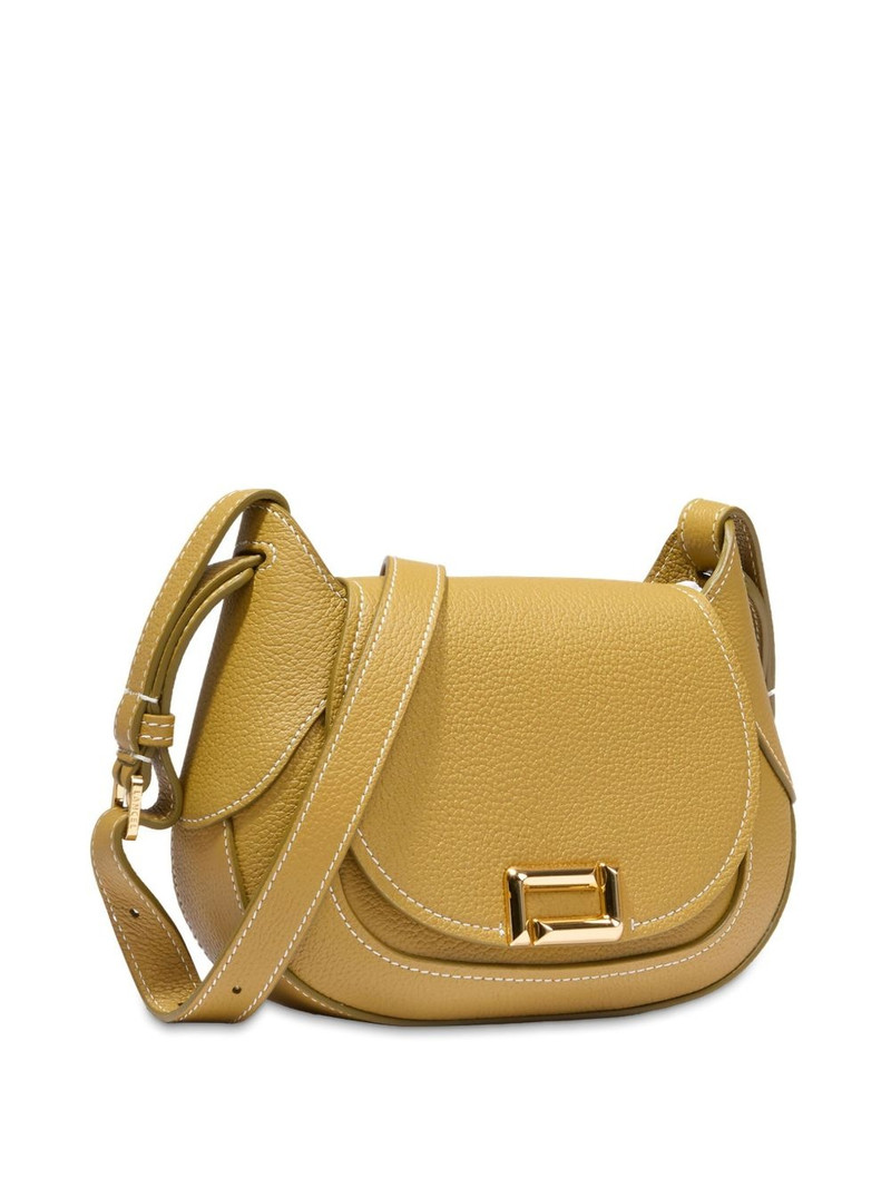 Paulette Saddle crossbody bag 3