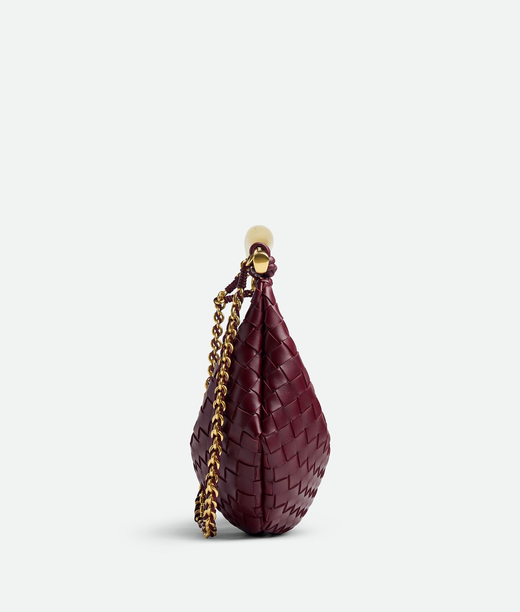 Sardine With Chain - 4